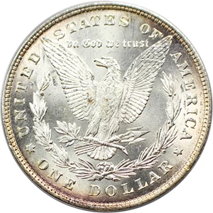 image for: 1878 8TF $1 PCGS/CAC MS63 (VAM-5, Doubled RIB)