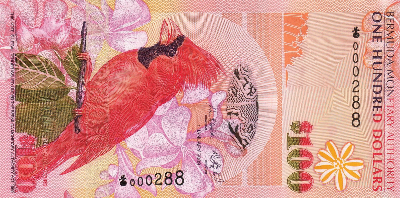  1 JANUARY 2009 Sig 39: Richardson/Steinhoff Prefix: Onion Intro: 09 03 2009 