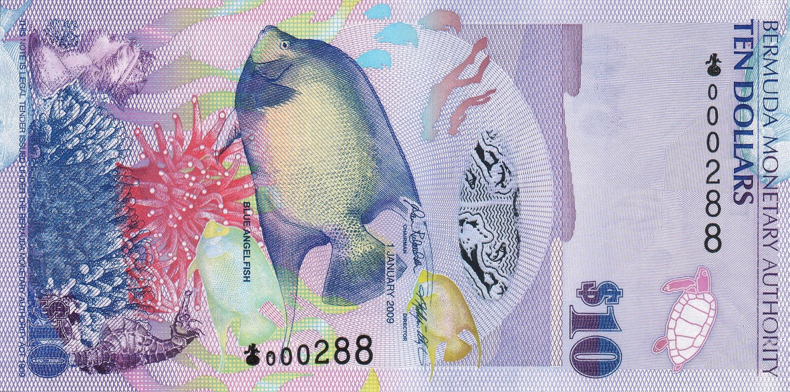  1 JANUARY 2009 Sig 36: Richardson/Milligan-Whyte Prefix: Onion Intro: 09 03 2009 