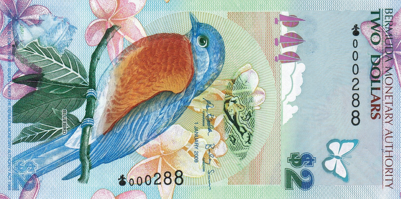  1 JANUARY 2009 Sig 34: Richardson/Simmons Prefix: Onion Intro: 09 03 2009 