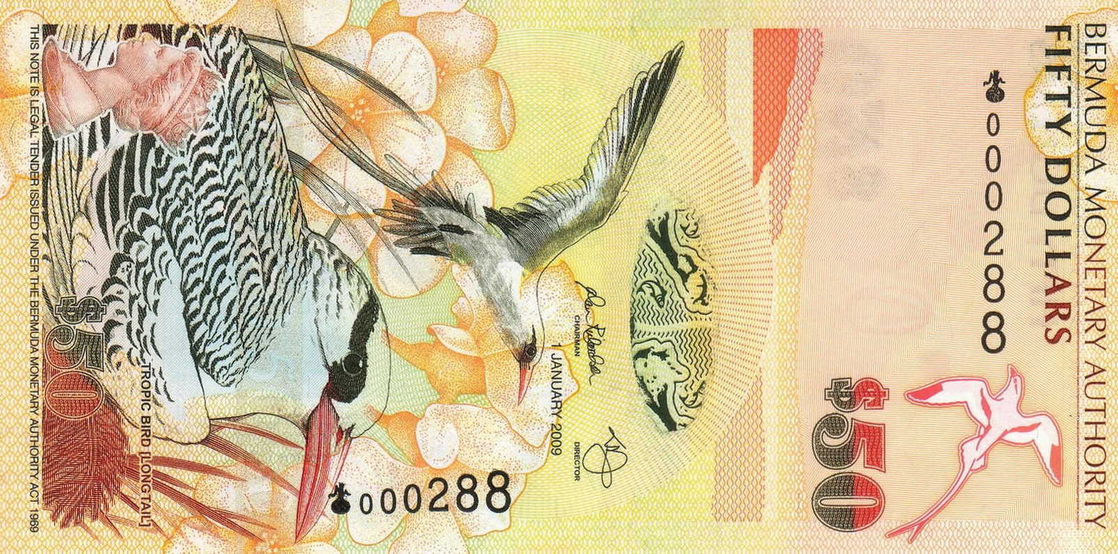  1 JANUARY 2009 Sig 38: Richardson/Johnston Prefix: Onion Intro: 09 03 2009 