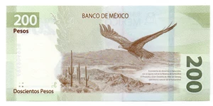 image for: