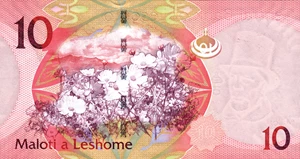 image for: