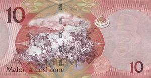 image for: