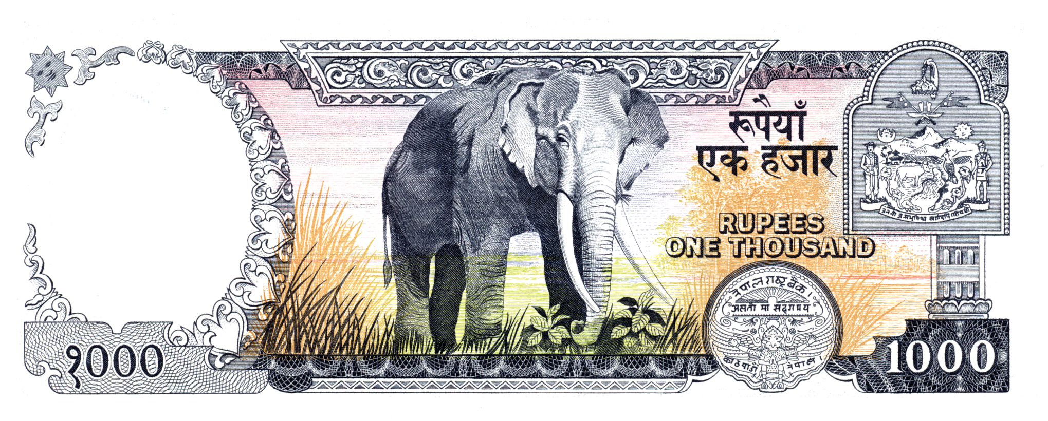  20-mm s/n Intro: 1985 