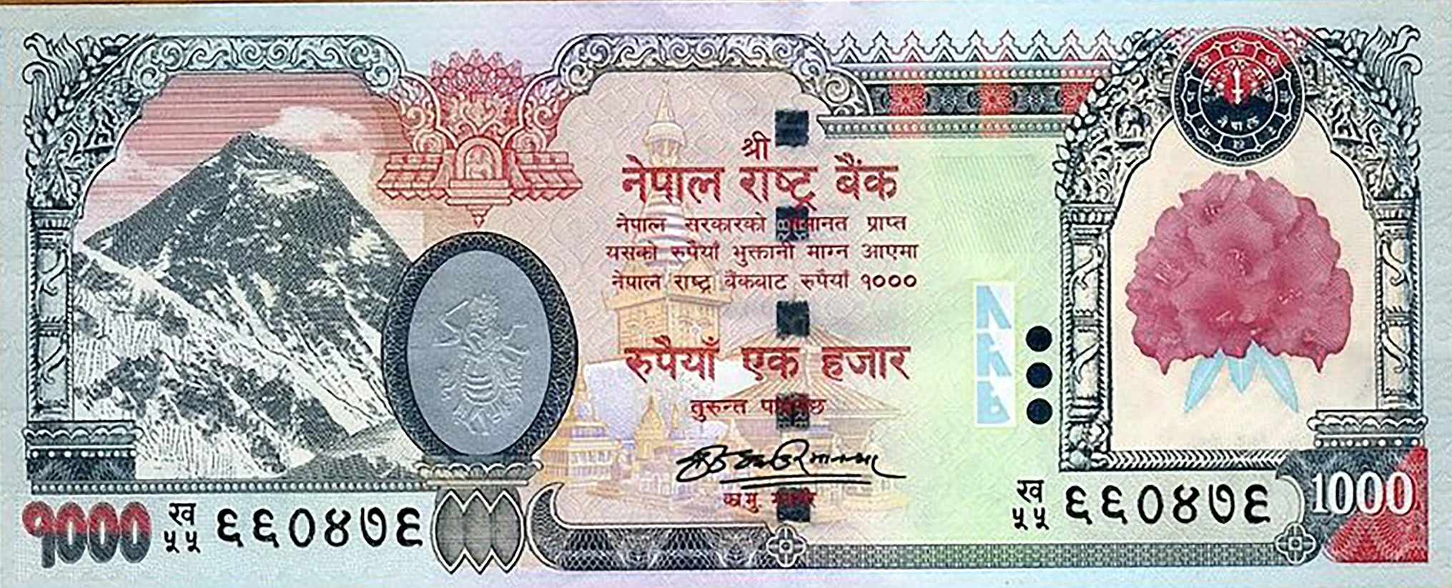  Replacement: Prefix denominator ९९ 