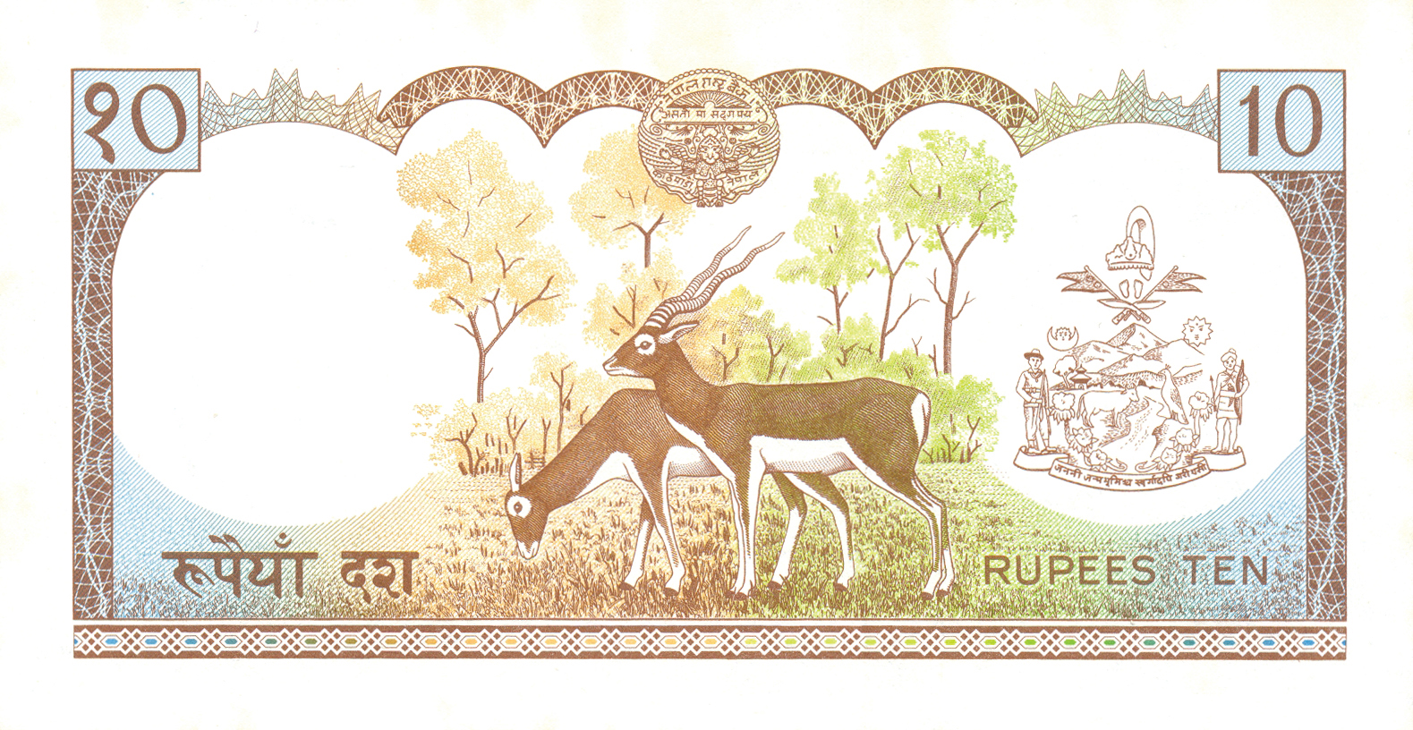  Sig 7: Adhikary Intro: 00 06 1982 