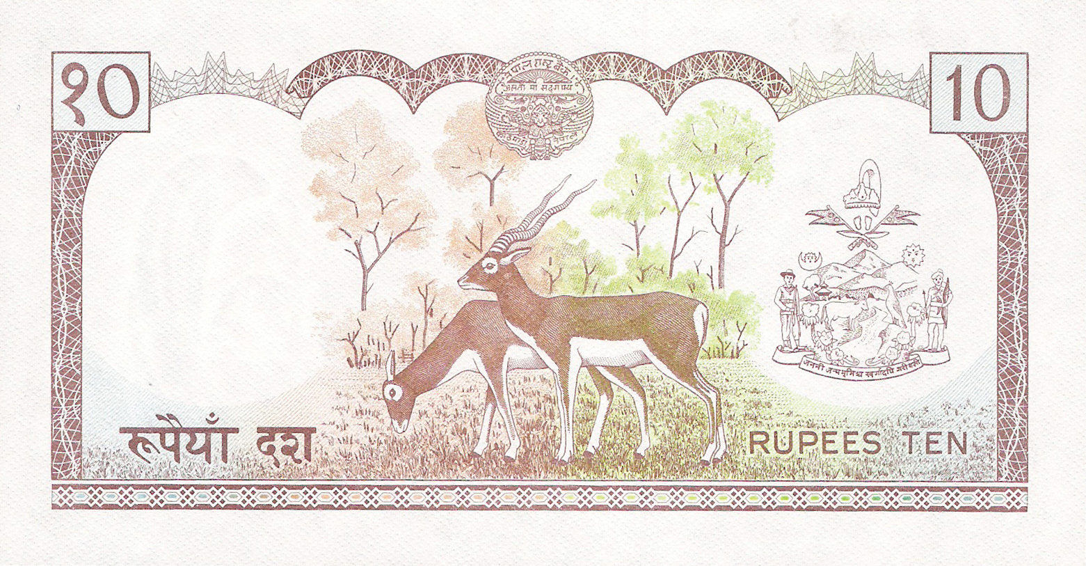  Sig 8: Thapa Intro: 00 12 1985 