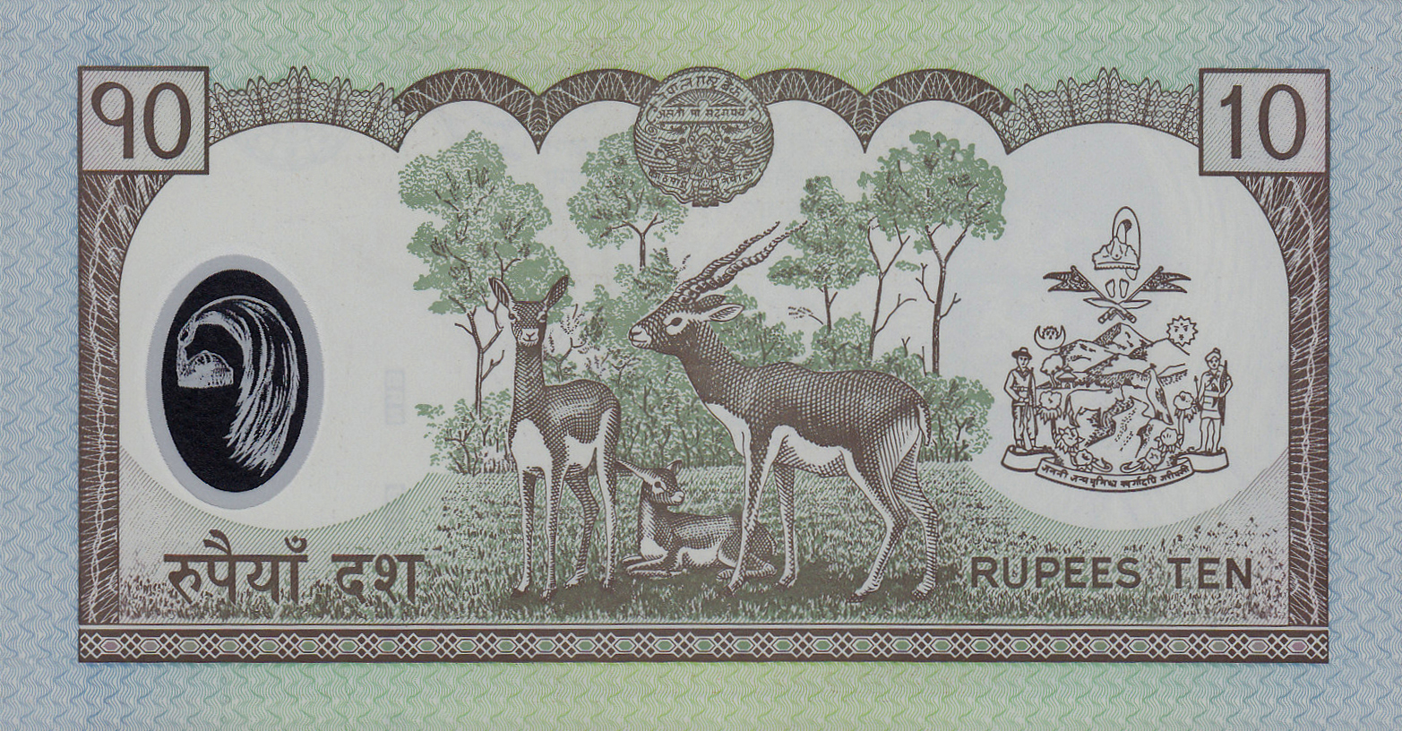  No ovpt; no perf; all-zero s/n; Sig 12: Rawal 