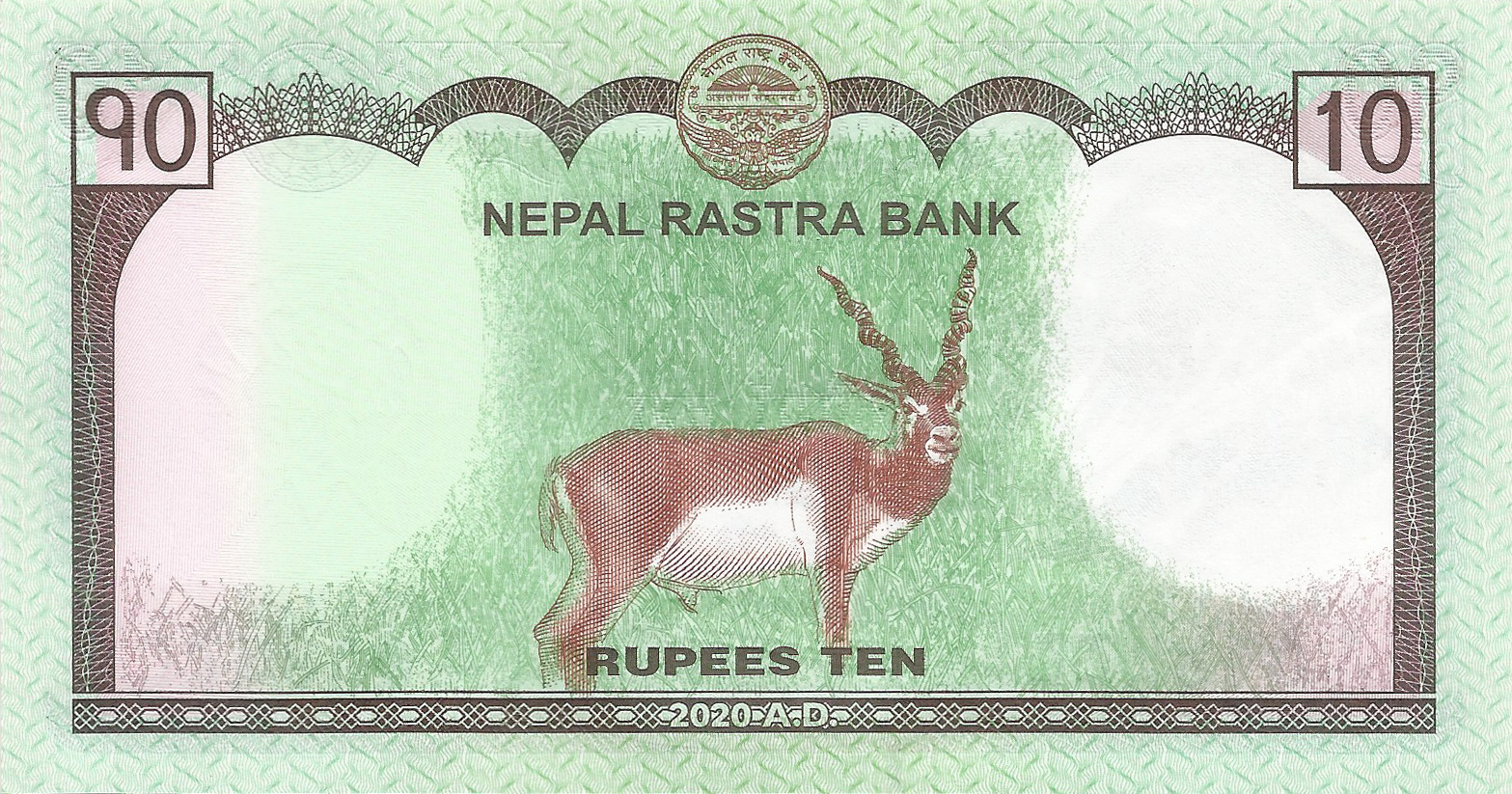 2020 2020 Sig 18: Adhikari 