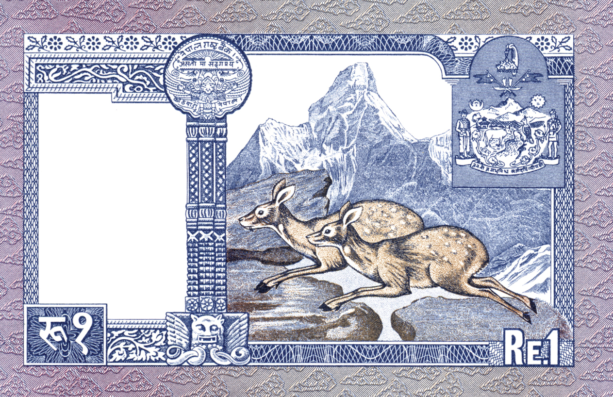  Sig 8: Thapa Intro: 00 11 1986 