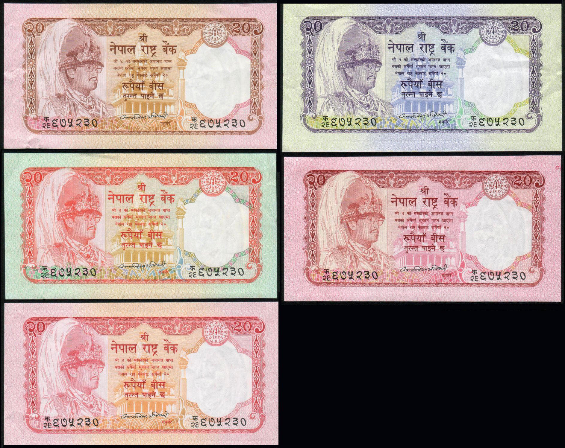  Various color combinations confirmed 