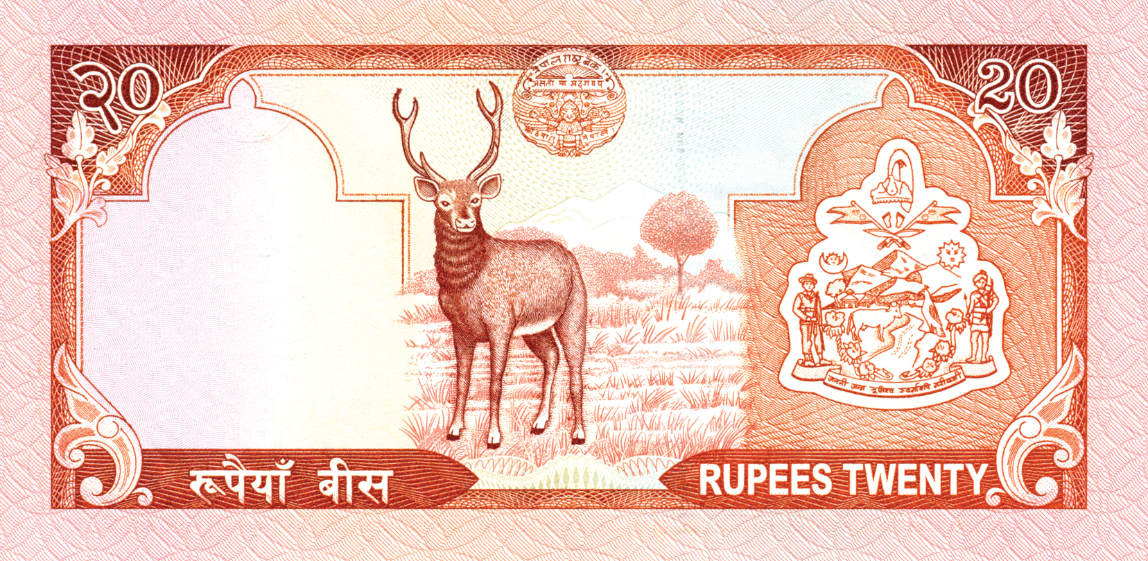  No date Sig 12: Rawal Intro: 00 08 2002 