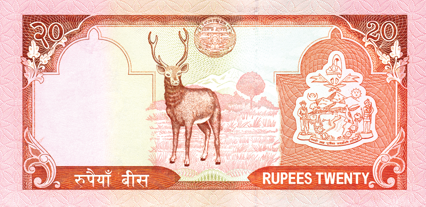  No date Sig 12: Rawal 20-mm s/n Intro: 00 10 2004 