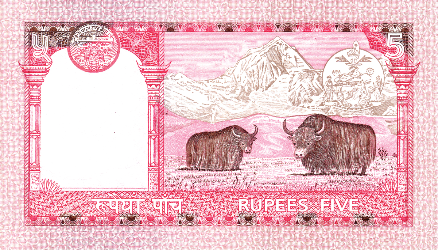  No date Sig 12: Rawal 20-mm s/n Intro: 00 10 2004 