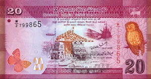image for: