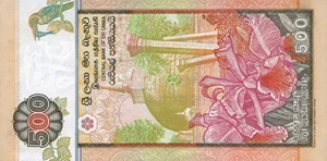 image for: