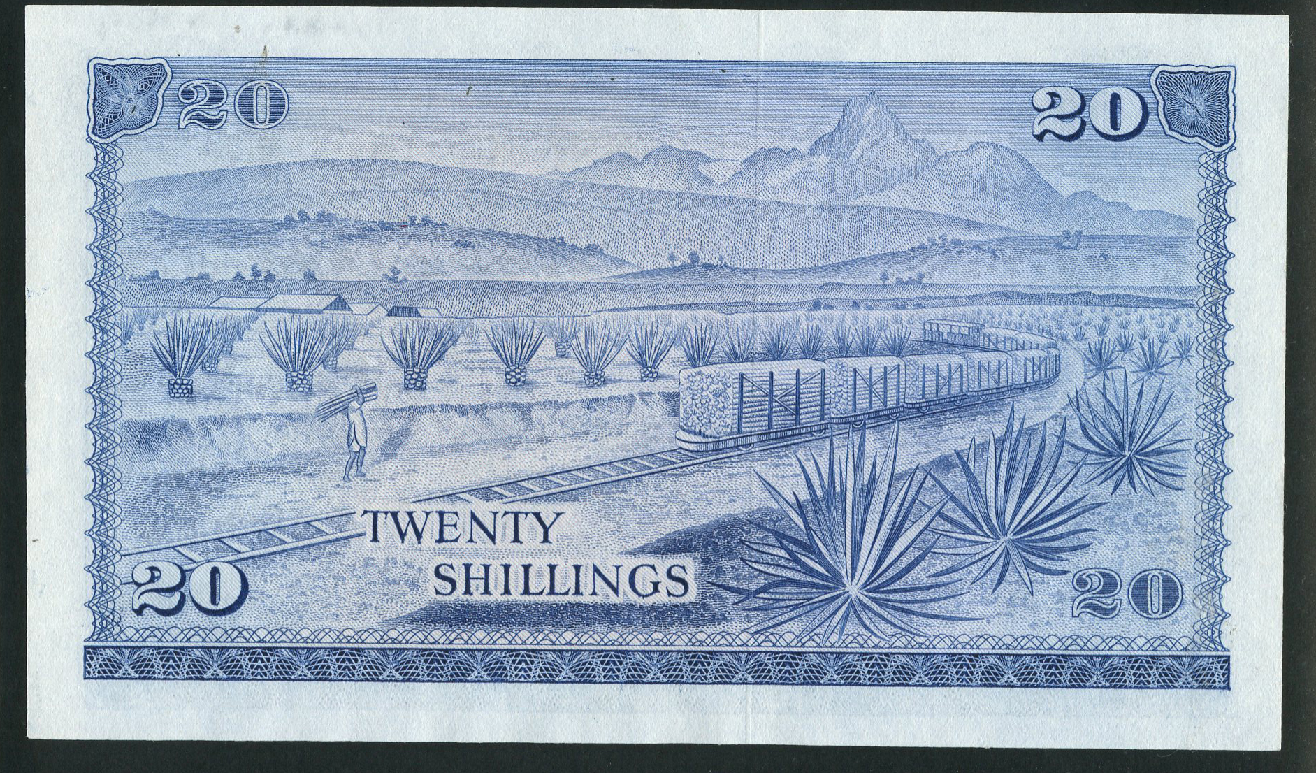  No ovpt; no perf; no date; no sig ; no s/n 