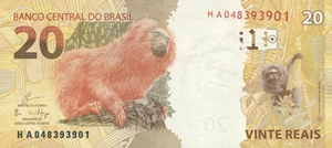 image for:
