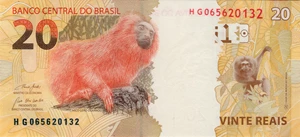image for: