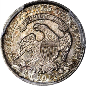 image for: 1828-1837 Capped Bust 10c MS Small Planchet (4509)