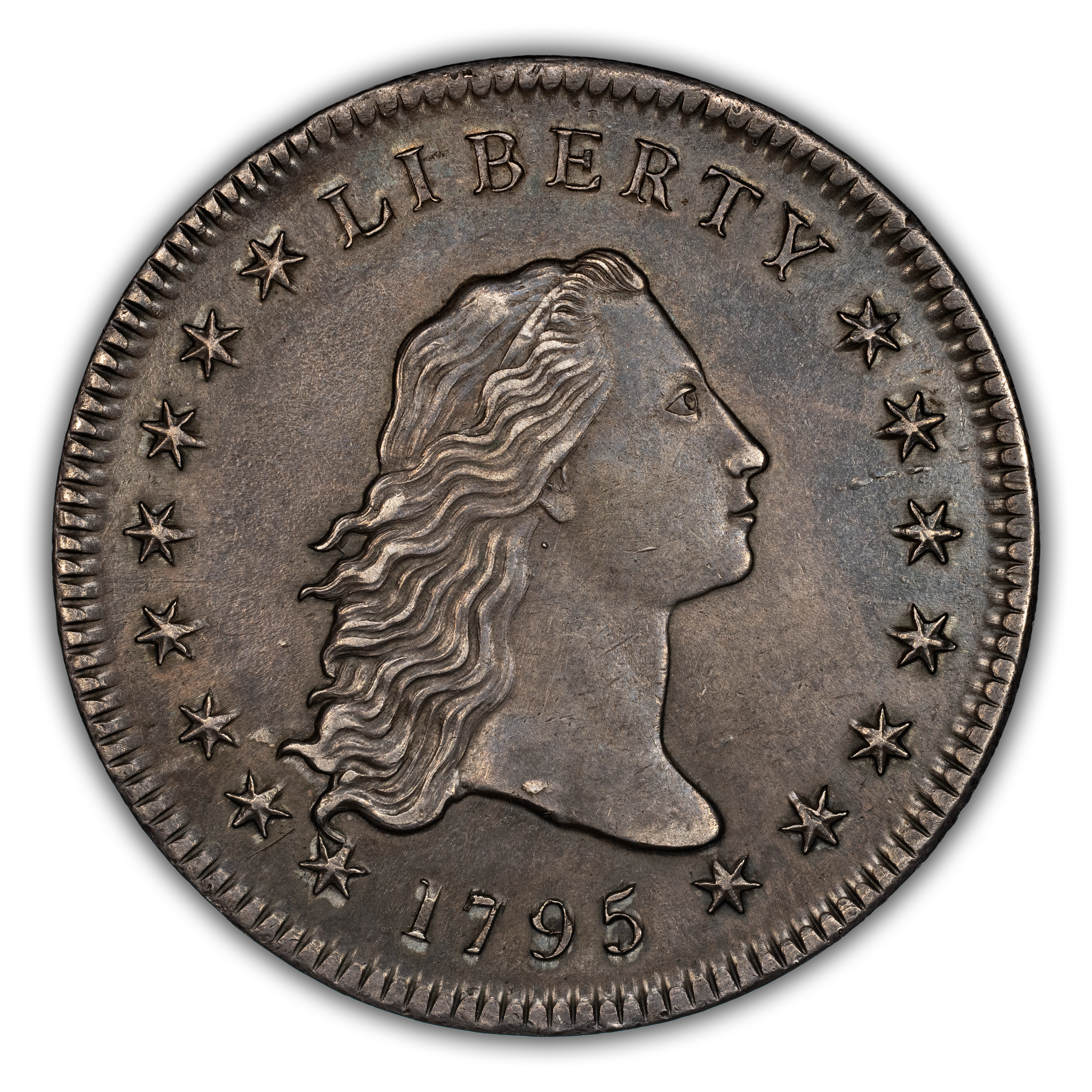 1795 $1 Flowing Hair, 2 Leaves, B-9, BB-13 MS