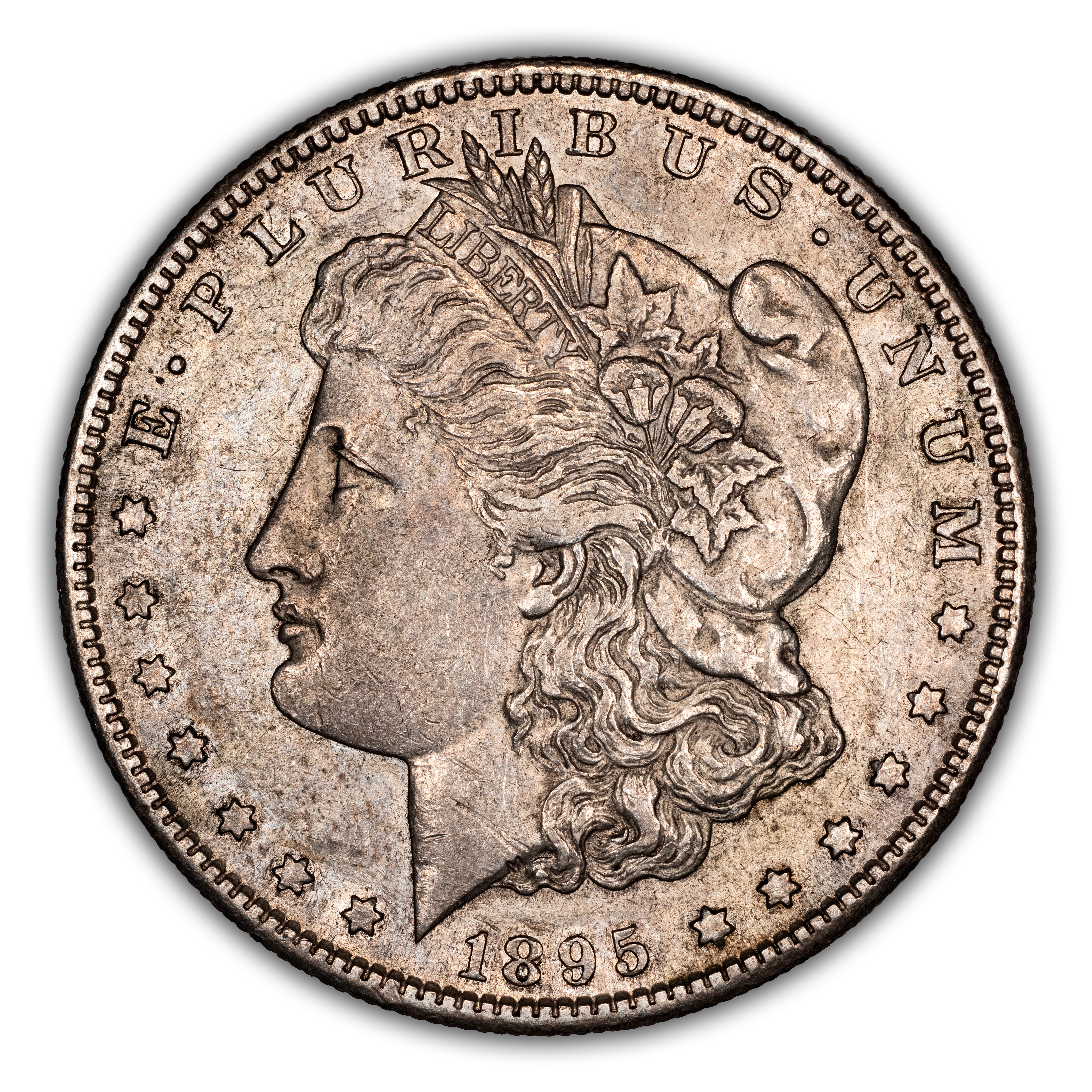1895-S $1 MS