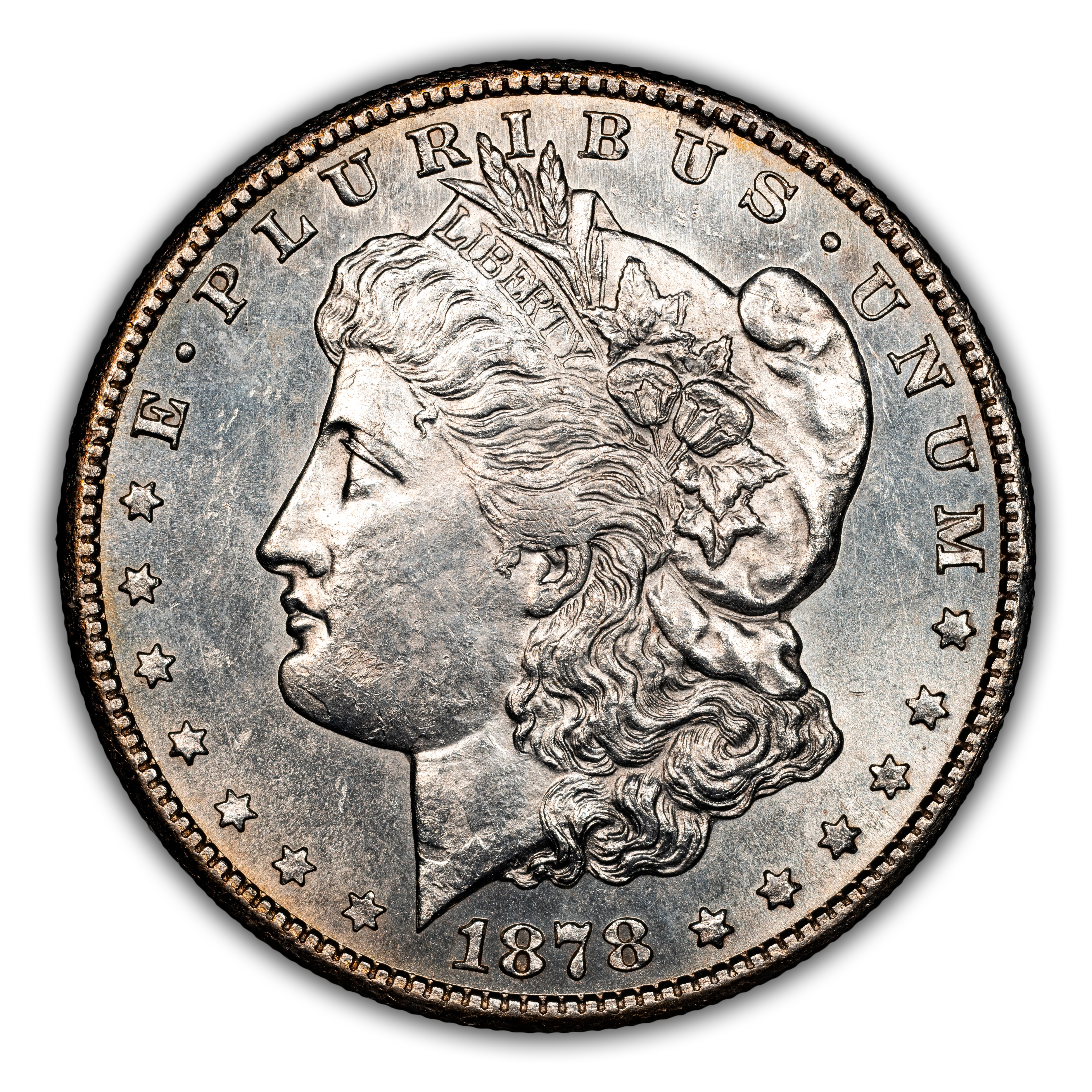 1878-CC $1 Doubled Leaves, VAM-24A MS