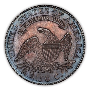 image for: 