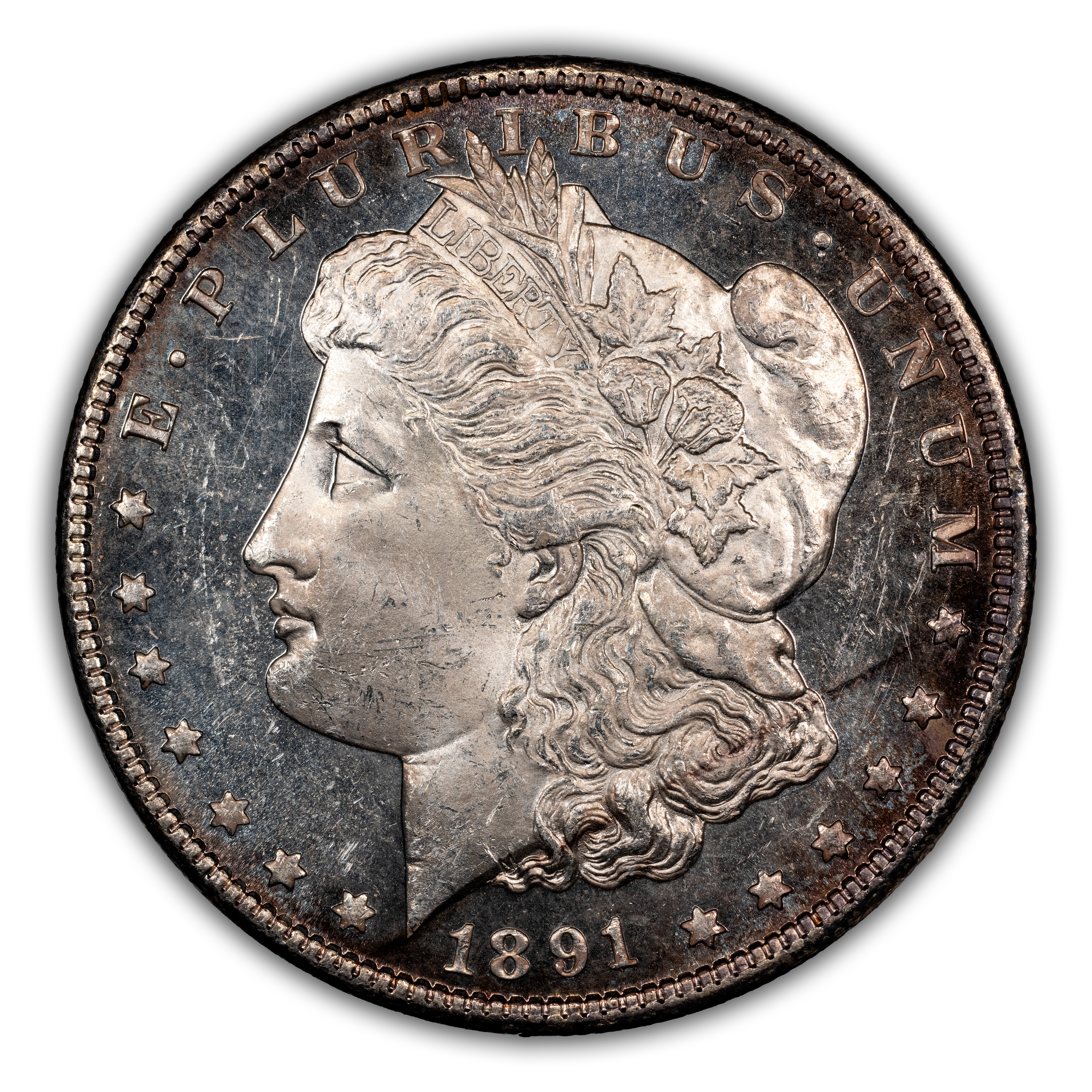 1891 $1 MS DMPL