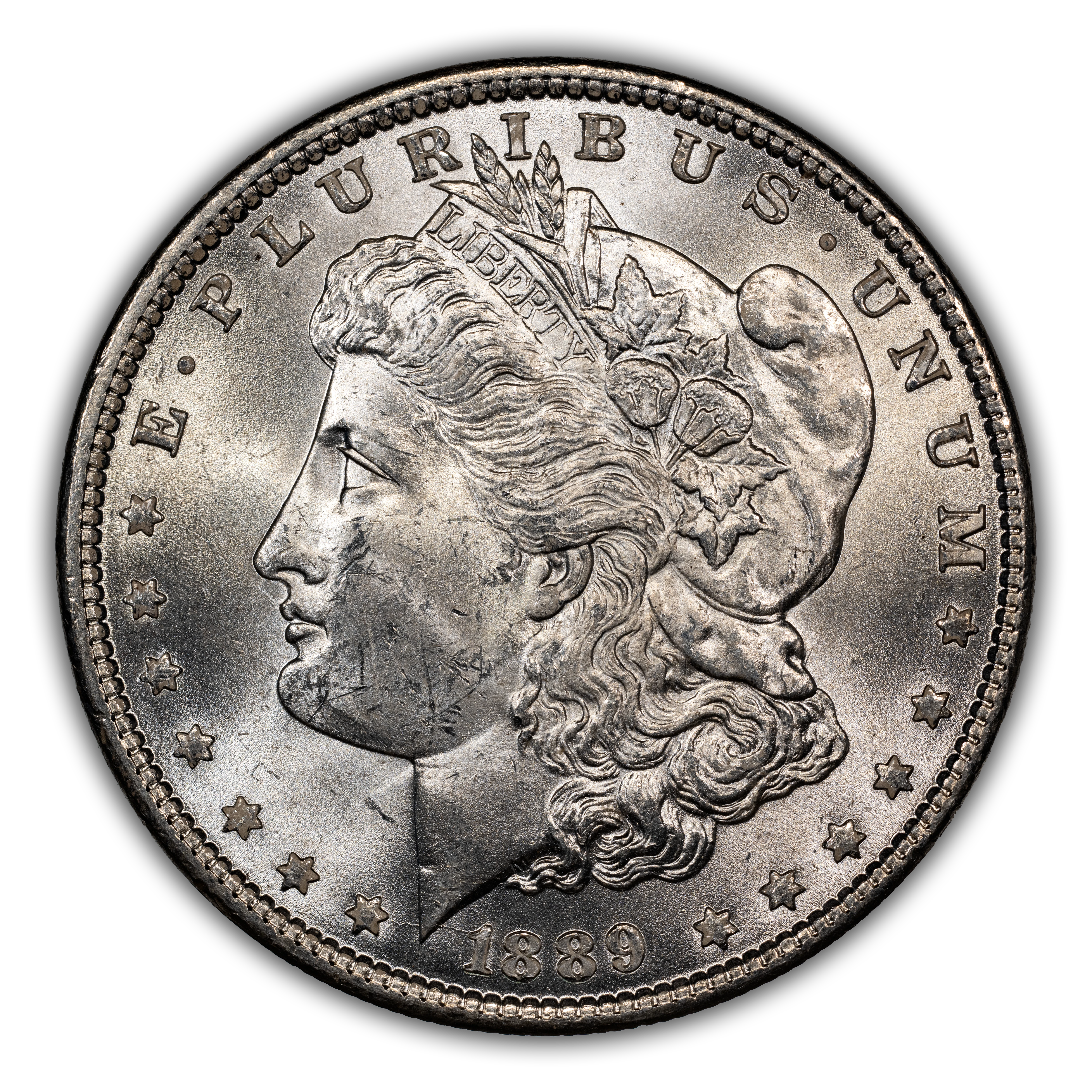 1889 $1 Bar Wing, VAM-19A MS