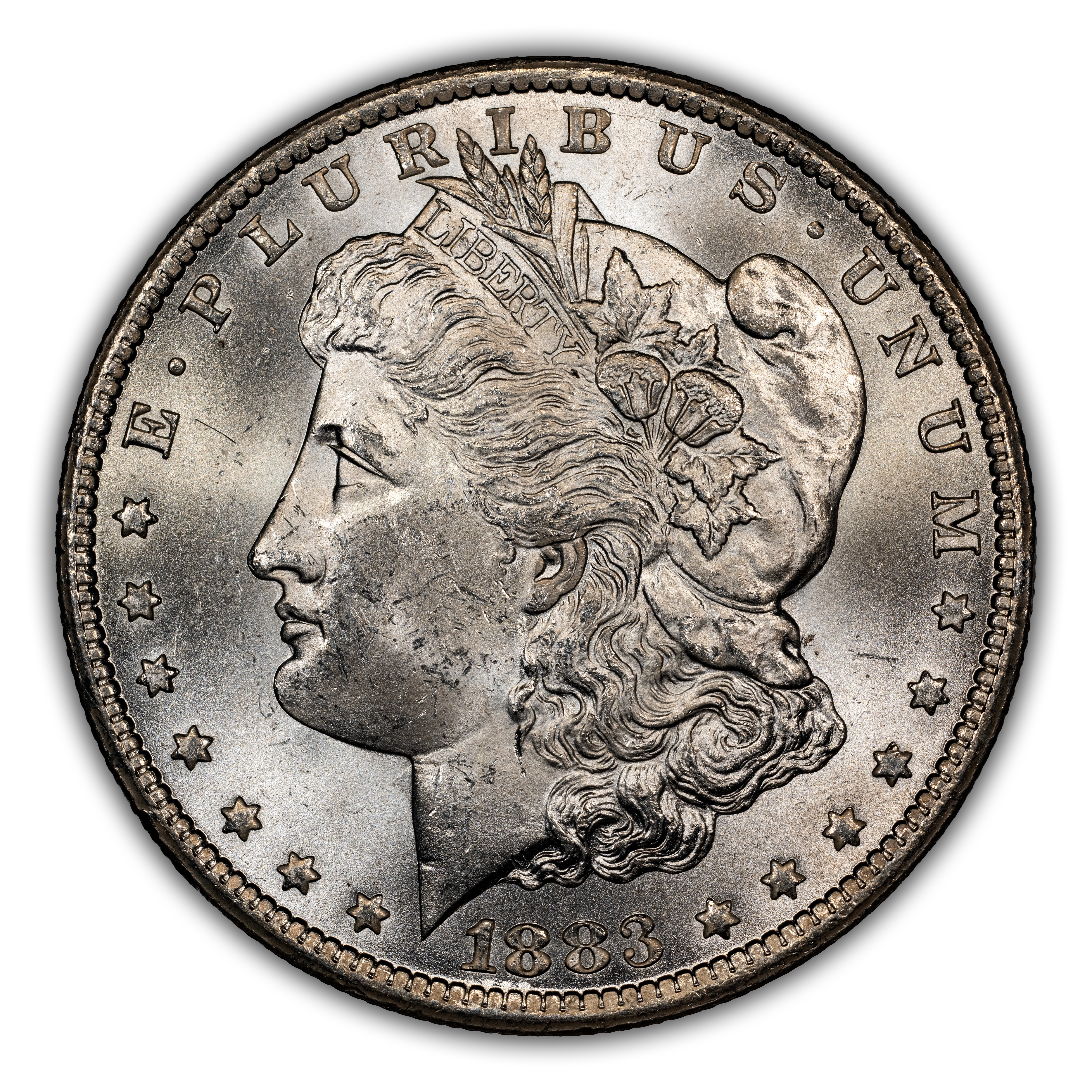 1883-CC $1 CC/CC, Polished, VAM-5B MS