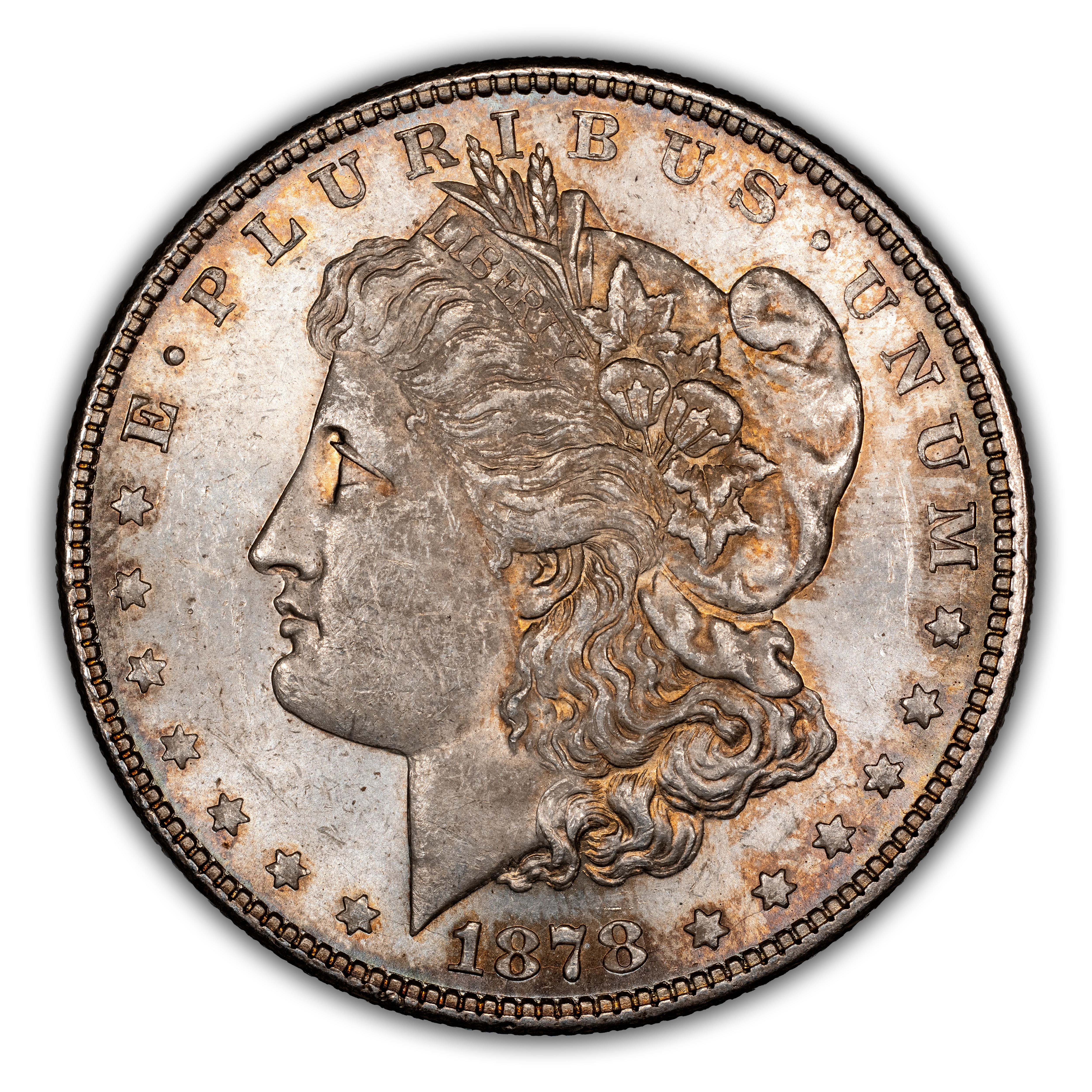 1878 7TF $1 Reverse of 1878, Doubled RIB, VAM-70 MS