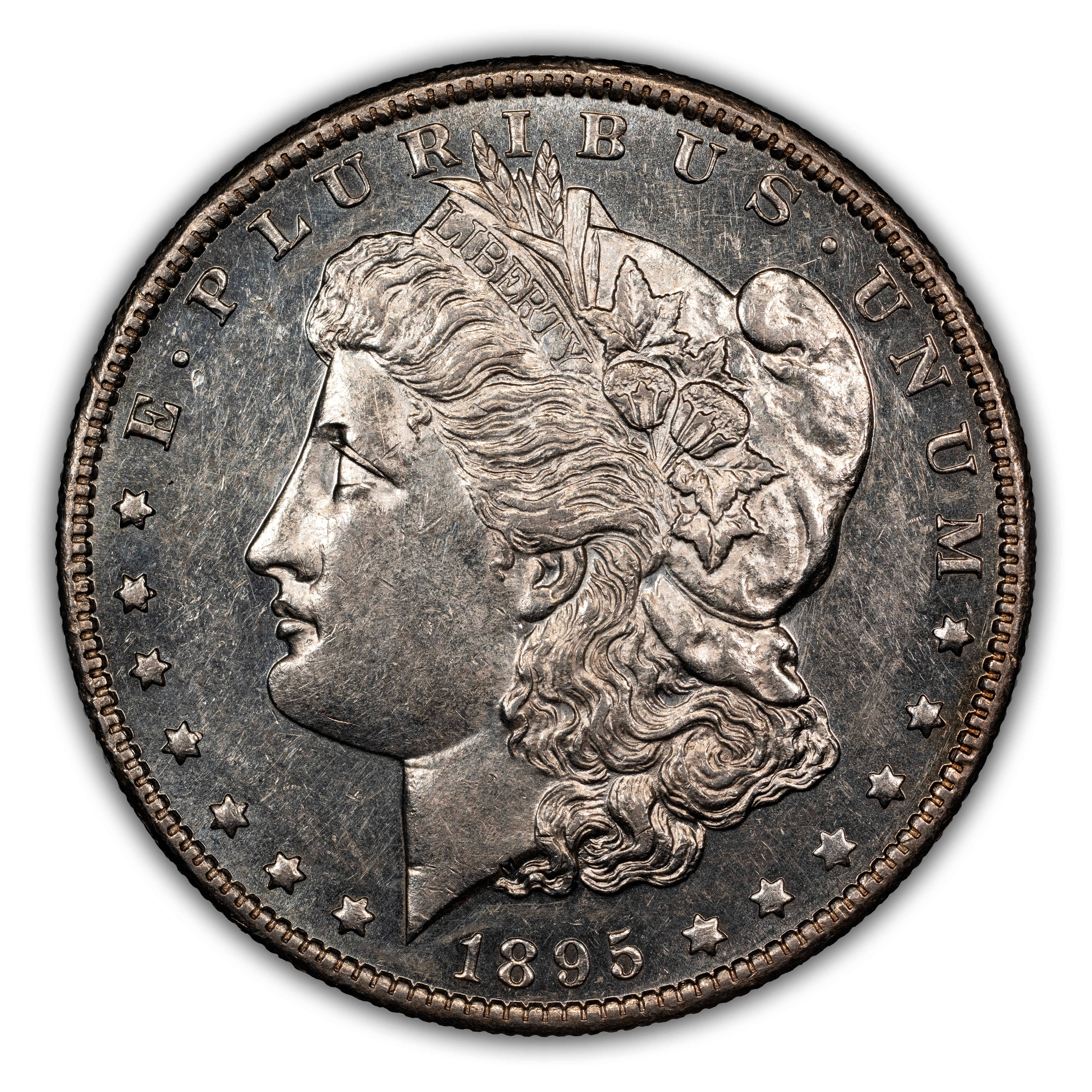 1895-O $1 MS PL
