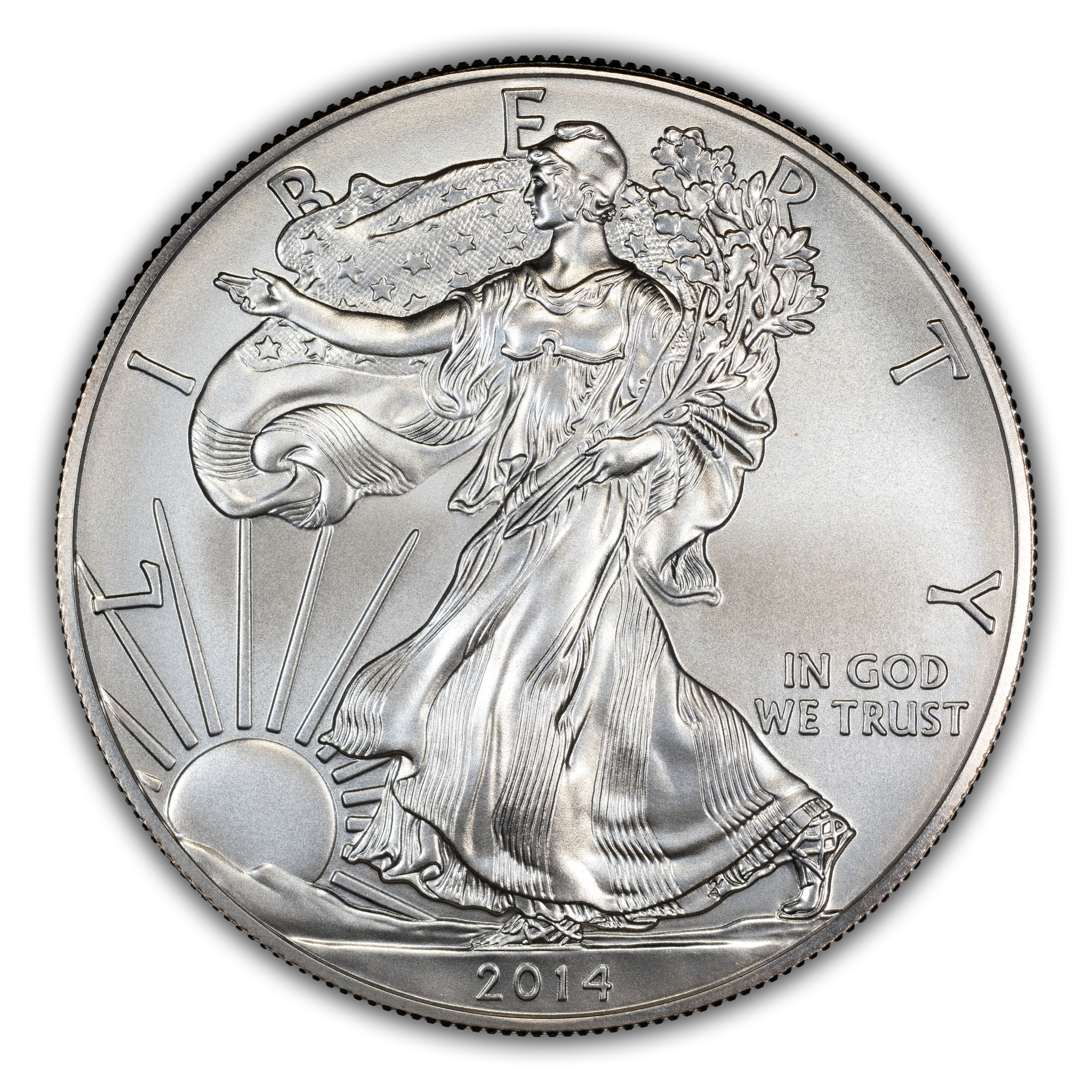 2014-W $1 Silver Eagle, Burnished MS