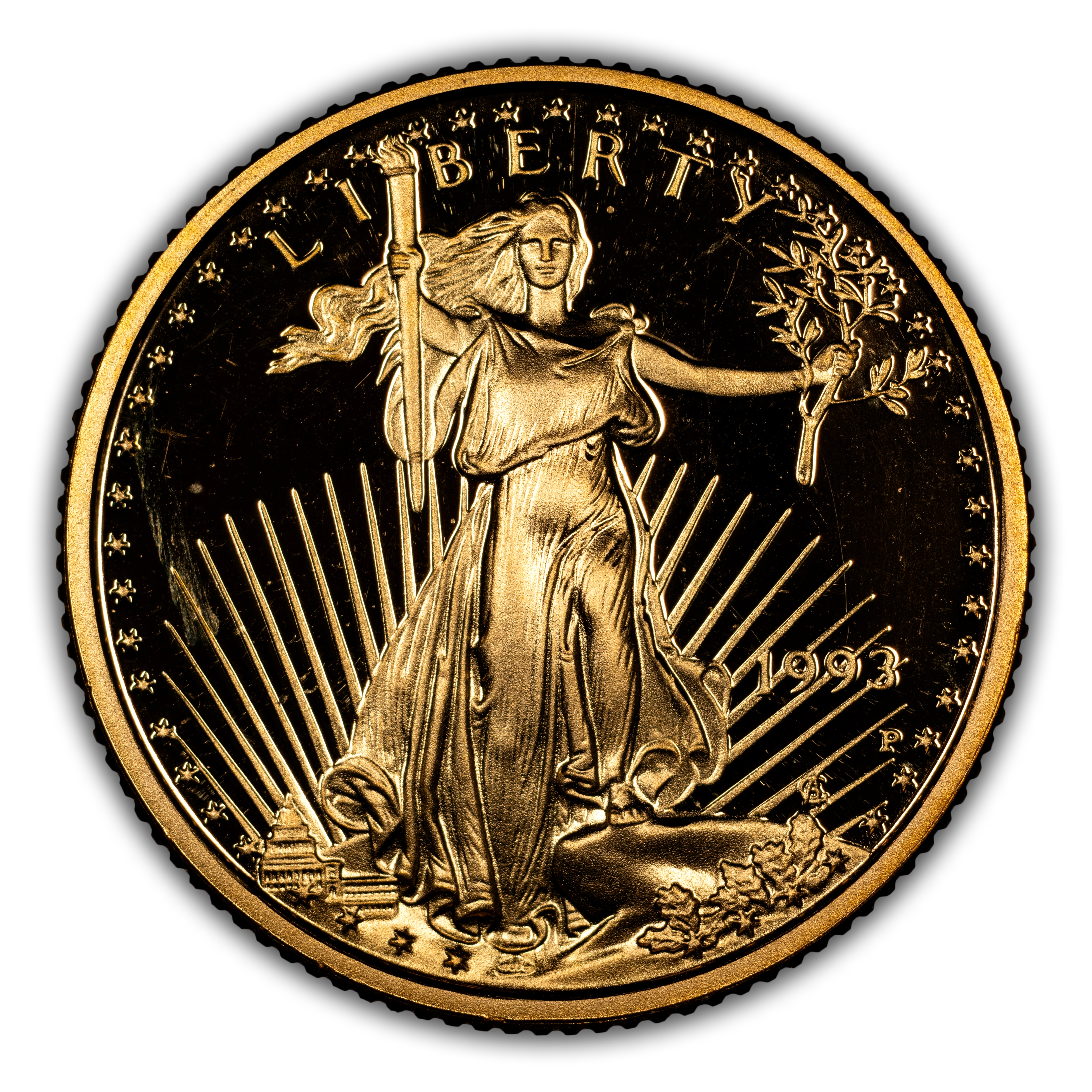 1993-P $5 Gold Eagle PR DCAM