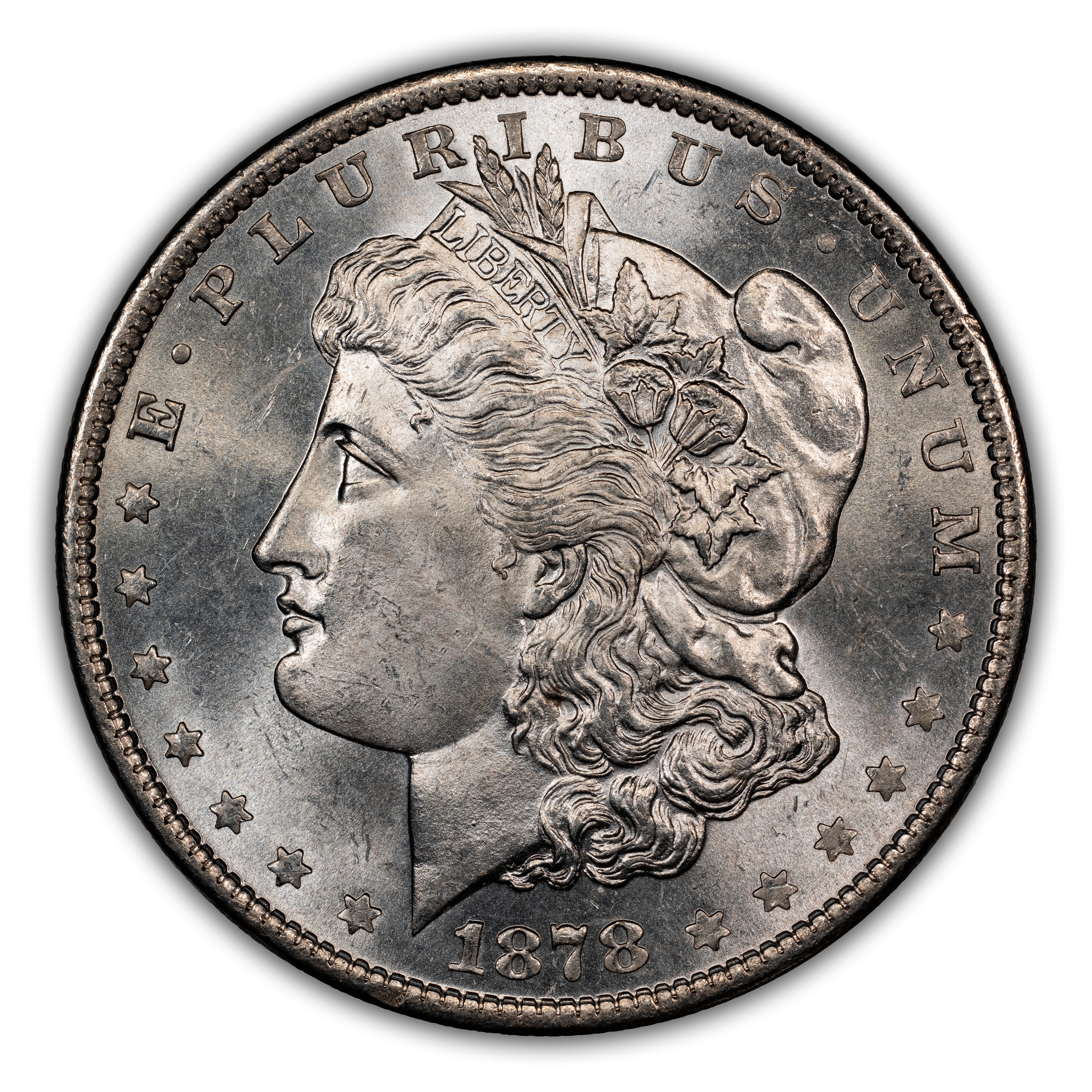 1878 7TF $1 Reverse of 1879 MS