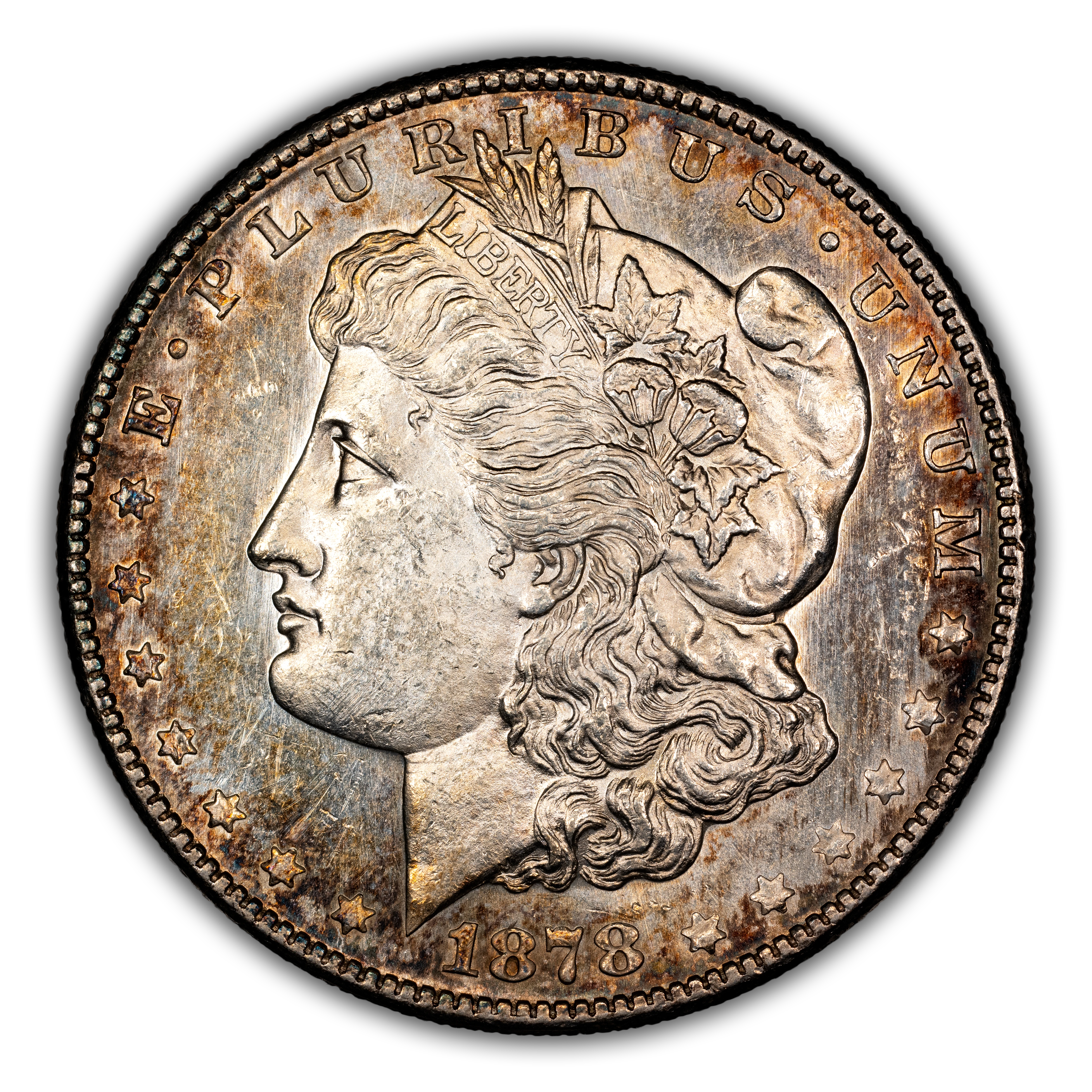 1878-S $1 Lava Wing, VAM-50 MS