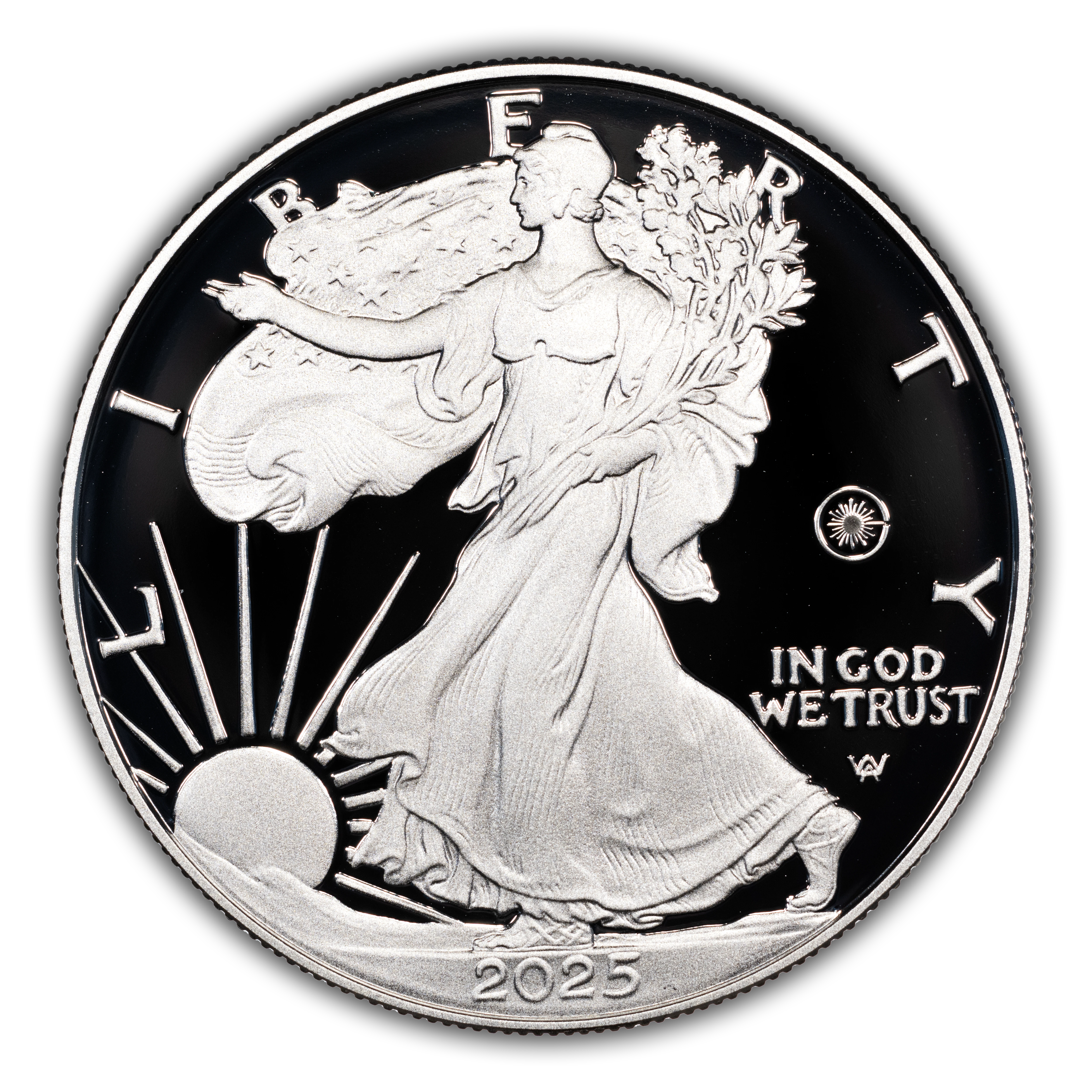 2025-W $1 Silver Eagle, Laser Privy PR DCAM