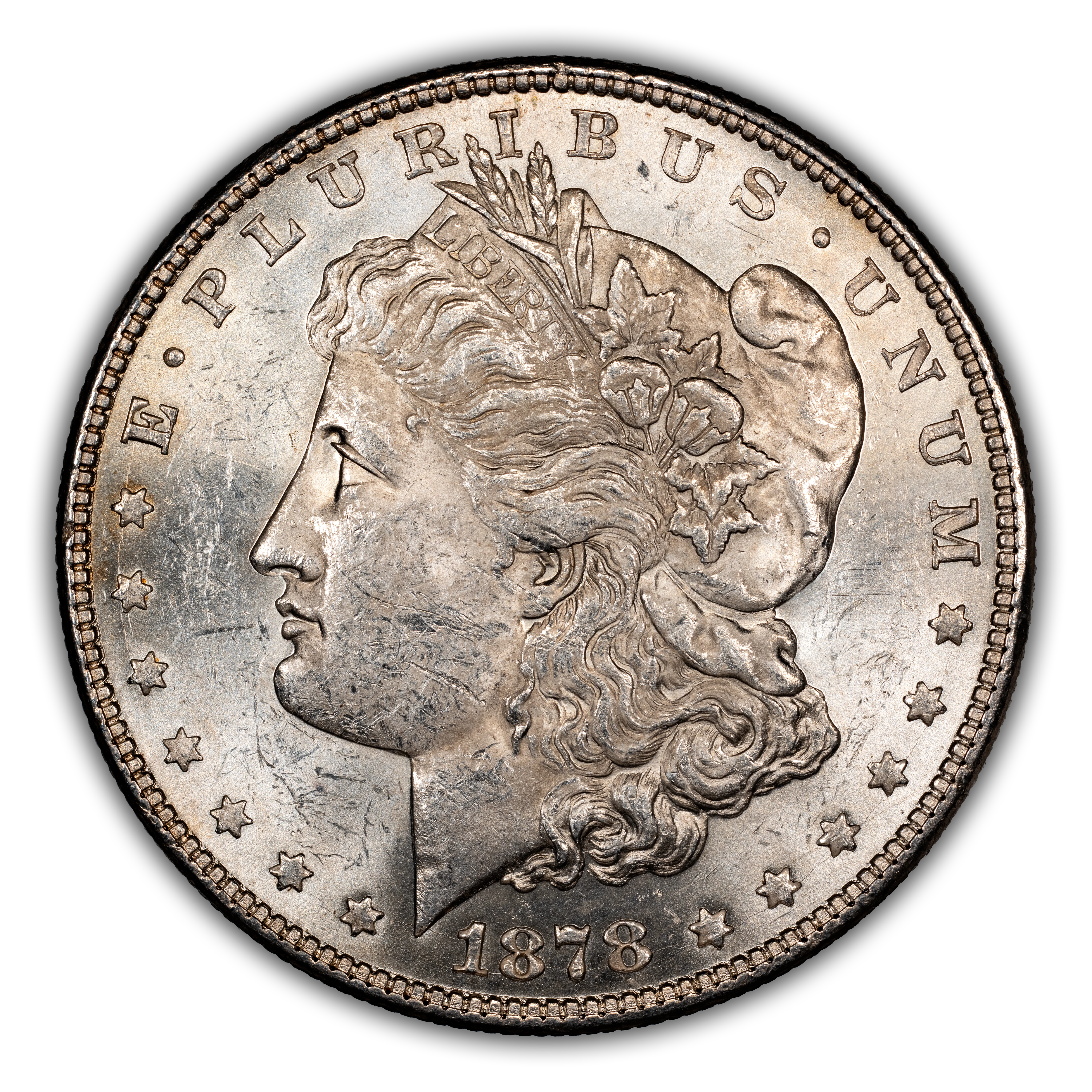1878 7TF $1  Reverse of 1878, Doubled RIB, VAM-70 MS thumbnail 8