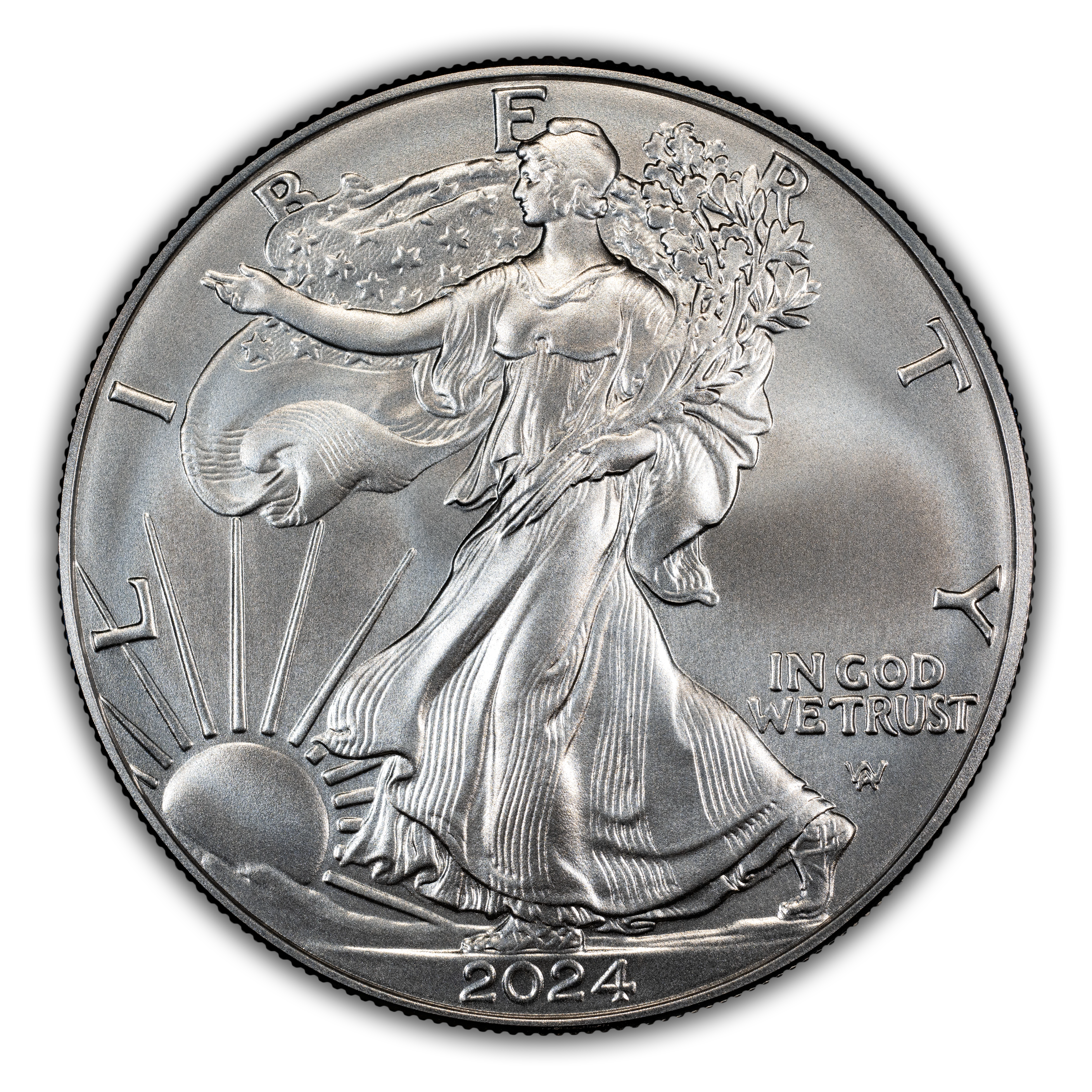 2024-W $1 Silver Eagle, Burnished MS