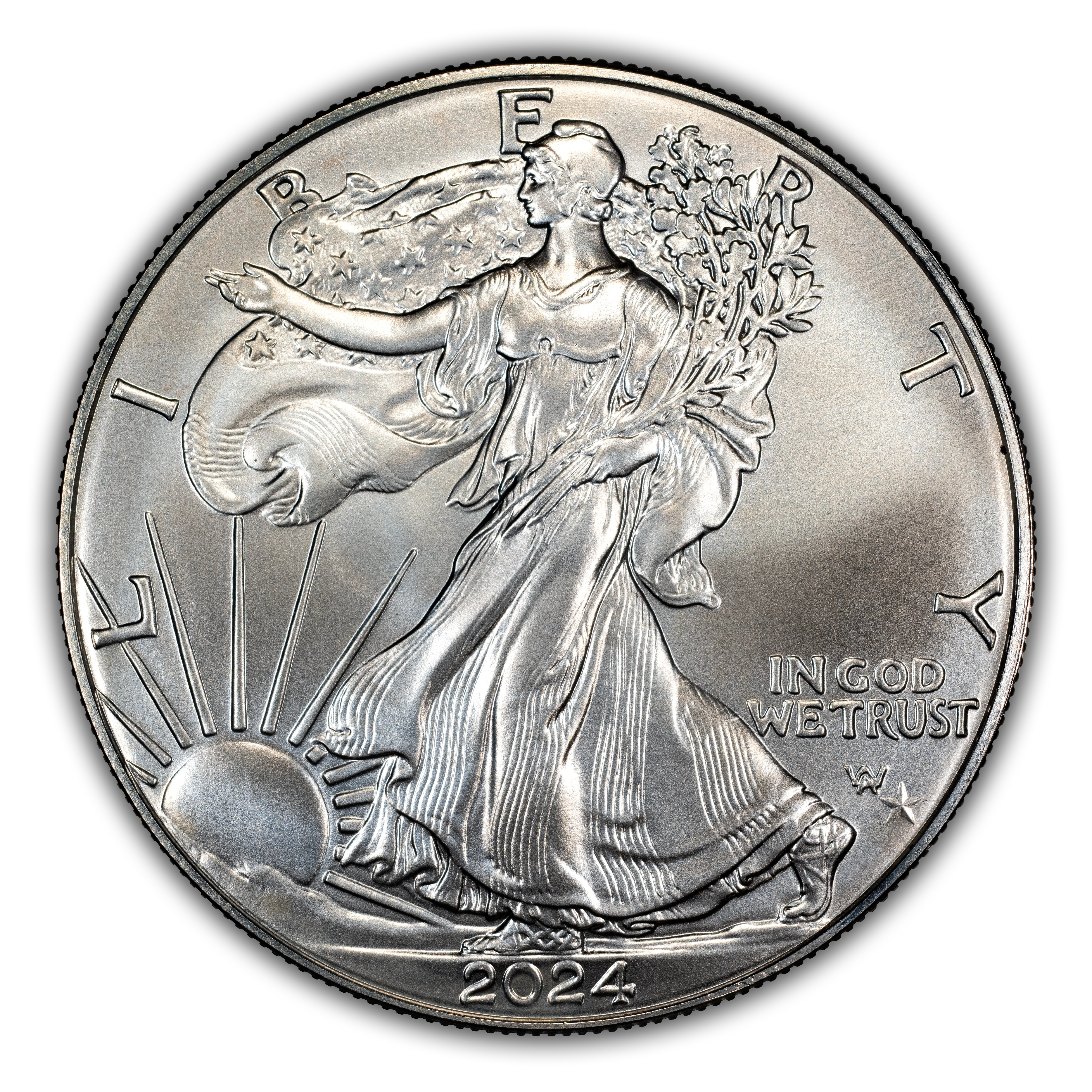 2024-(P) $1 Silver Eagle, Star Privy MS