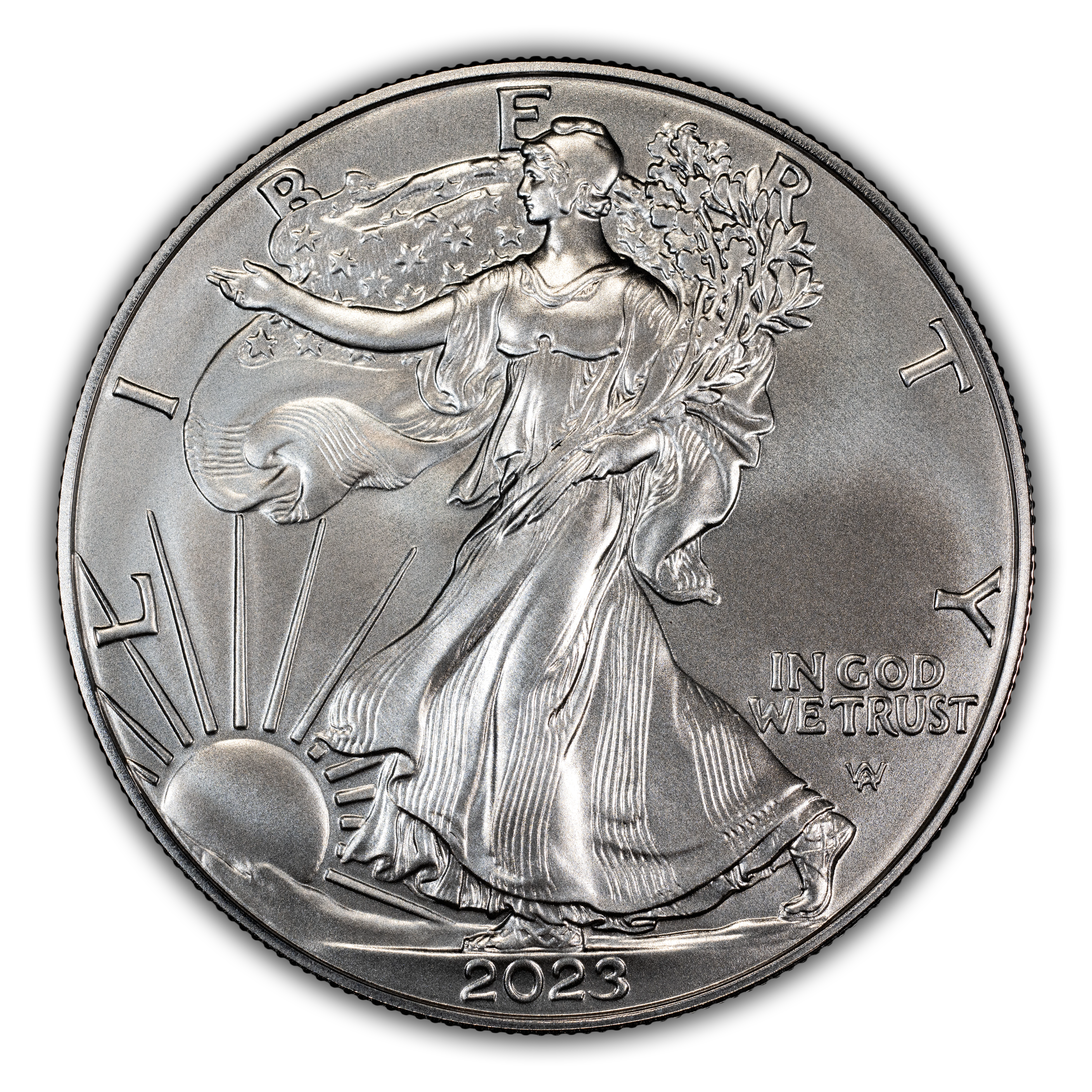 2023-W $1 Silver Eagle, Burnished MS