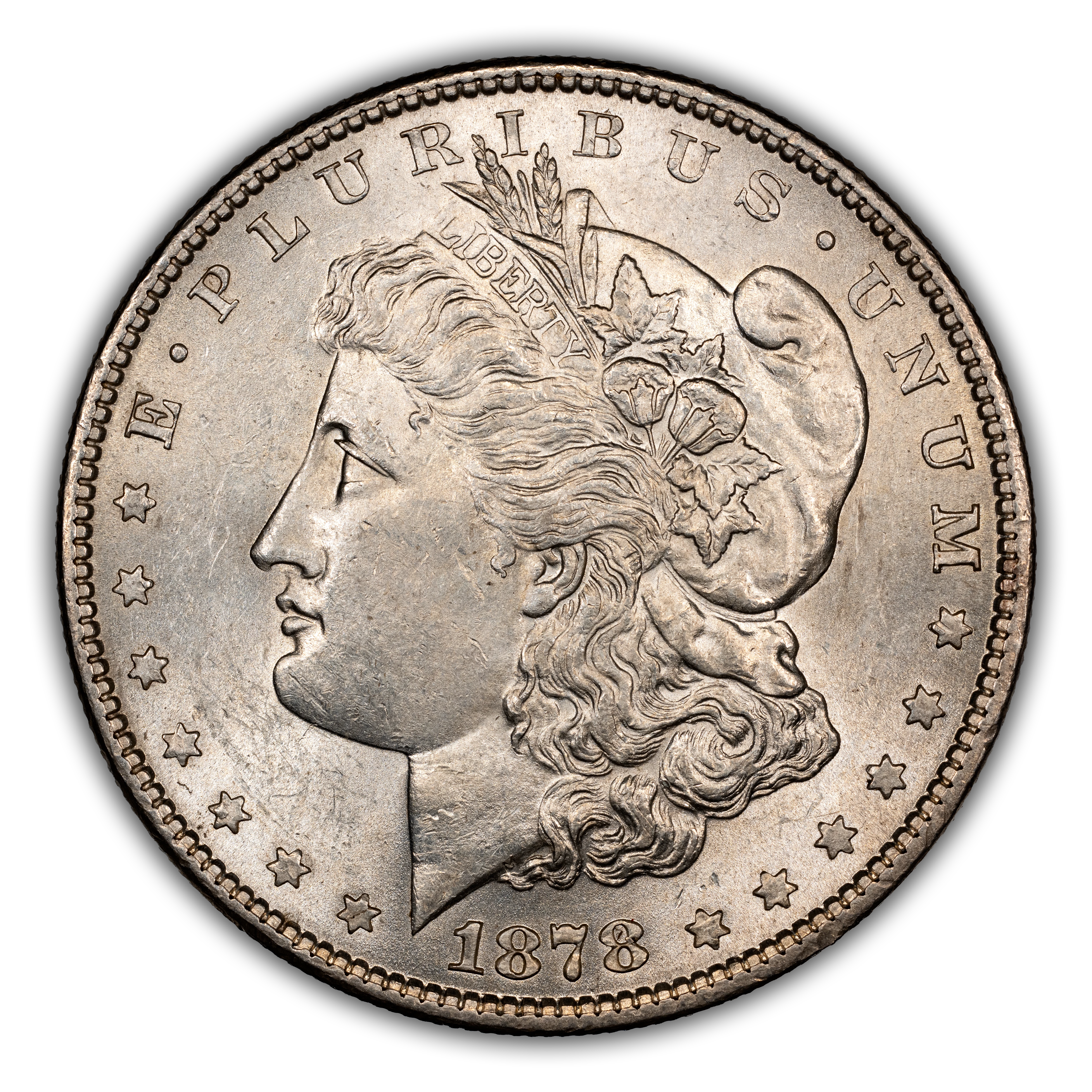 1878 7TF $1 Reverse of 1879, Washed Out L, VAM-223 MS