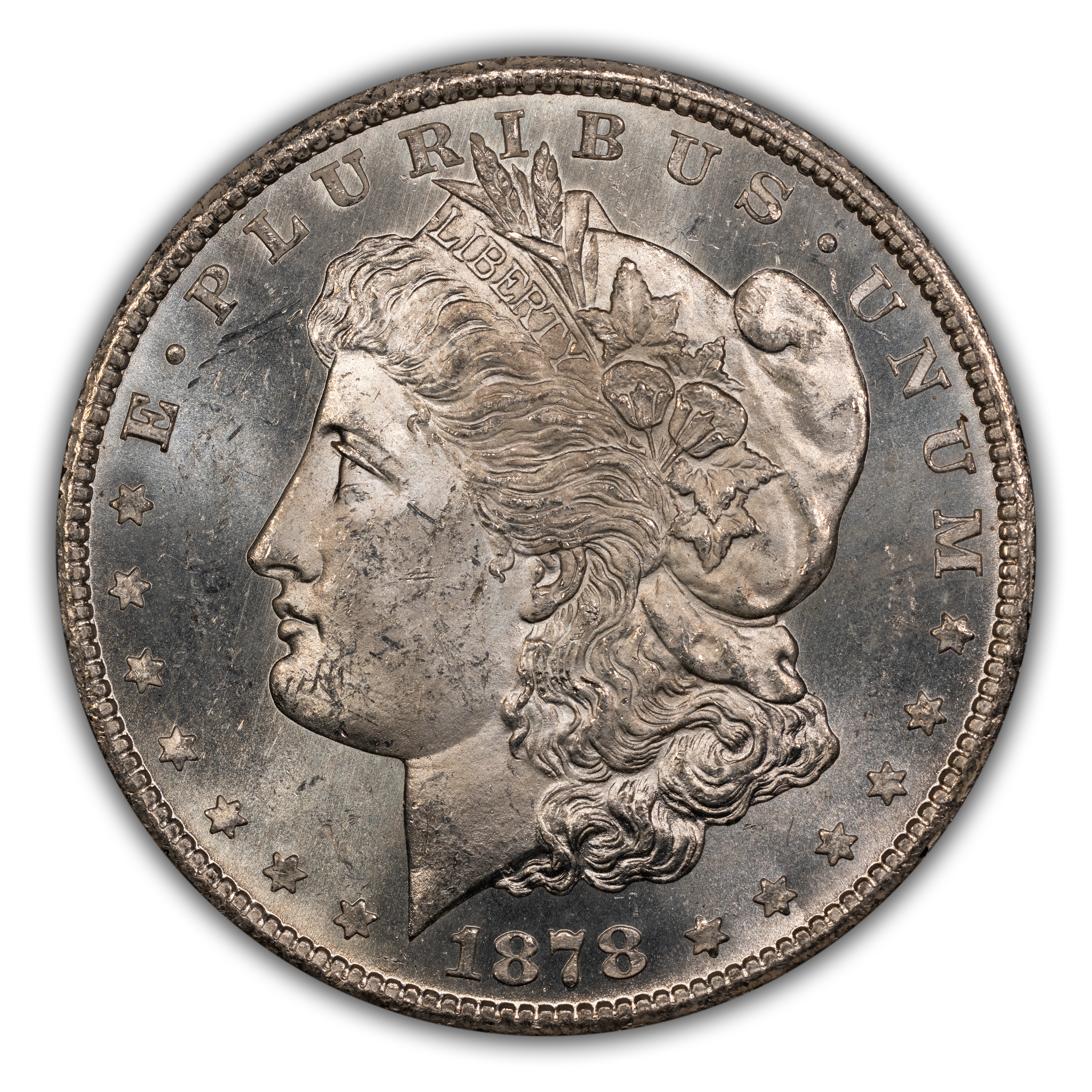 1878-CC $1 GSA Hoard, Line in Eye, Denticle Impressions, VAM-20 MS