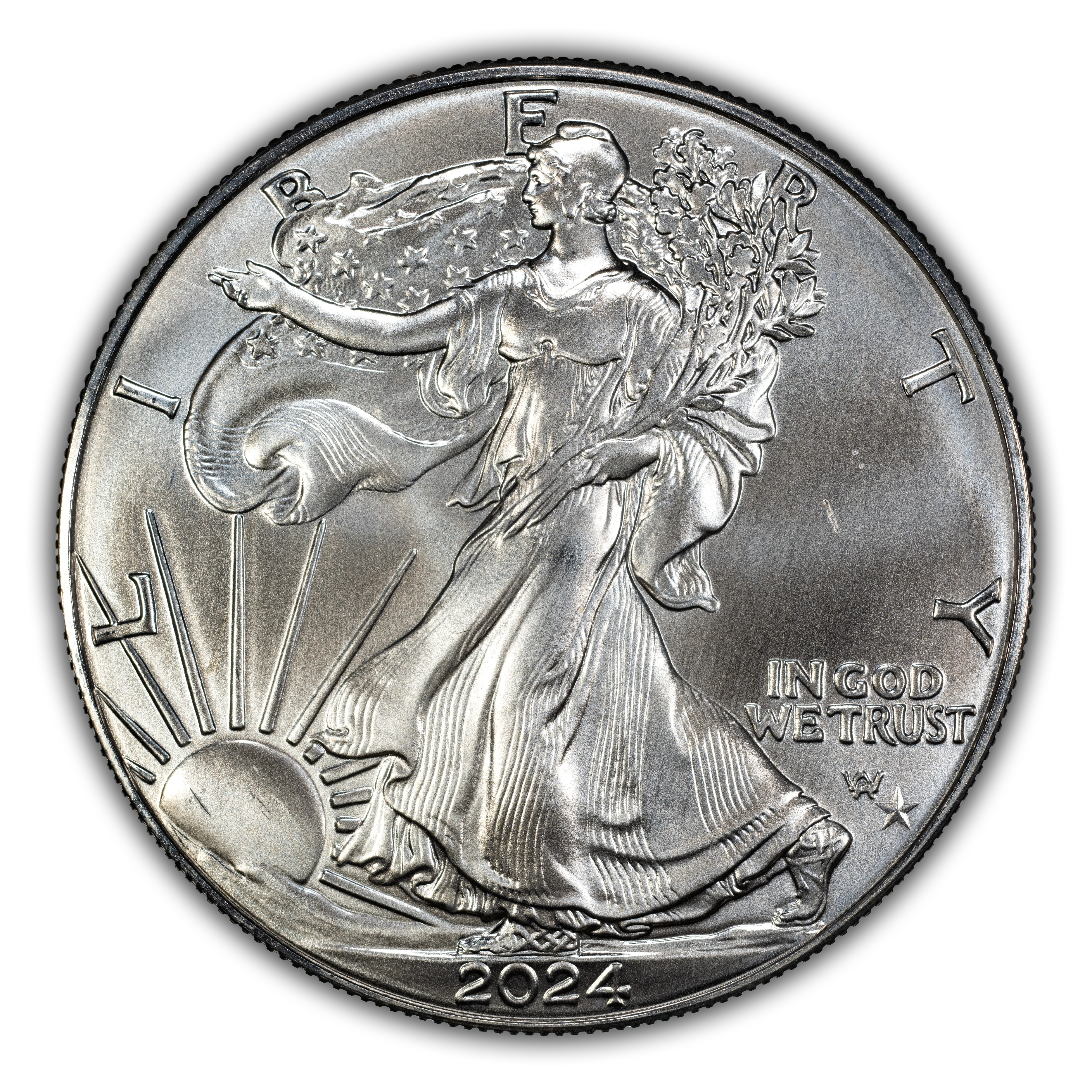 2024-(P) $1 Silver Eagle, Star Privy MS