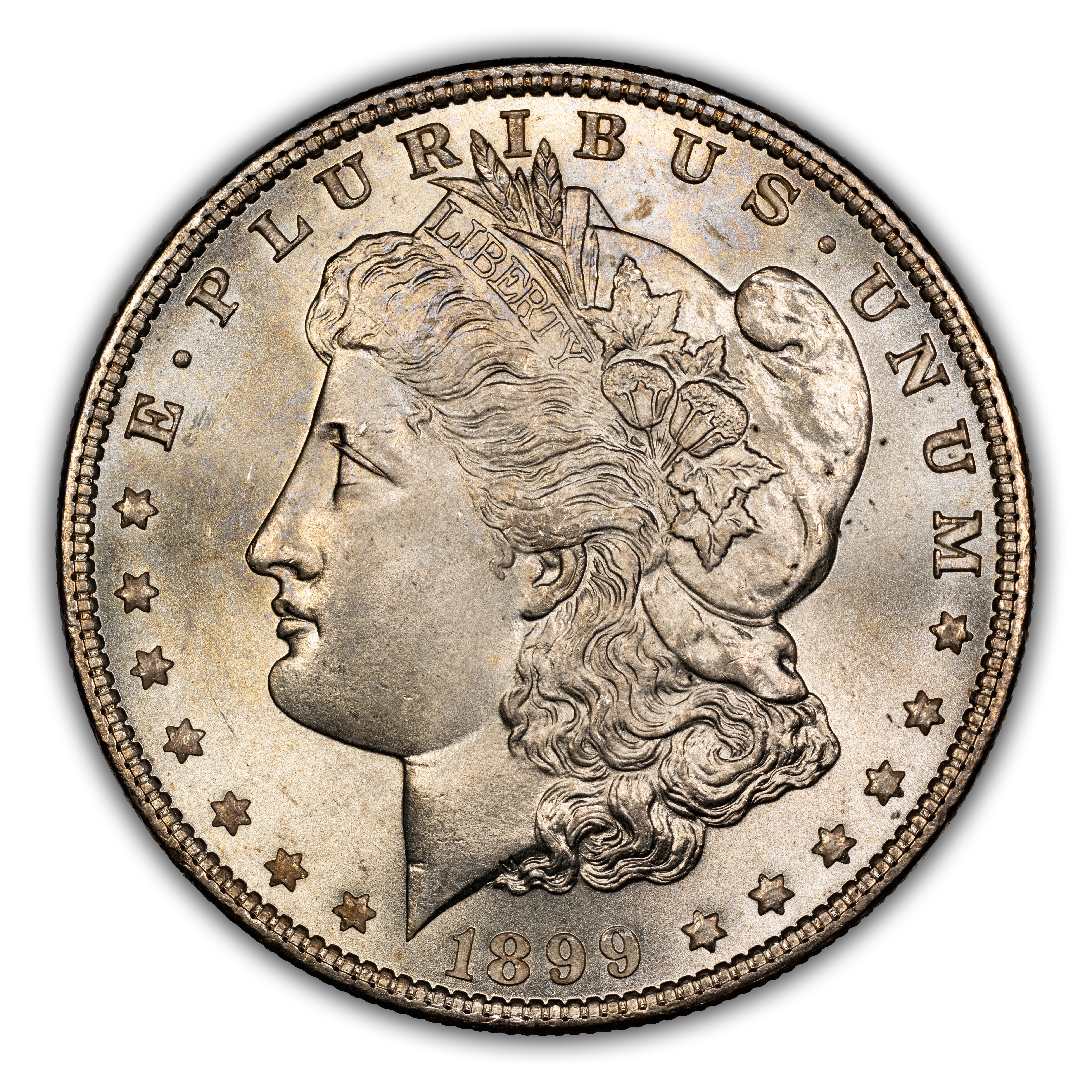 1899 $1 MS