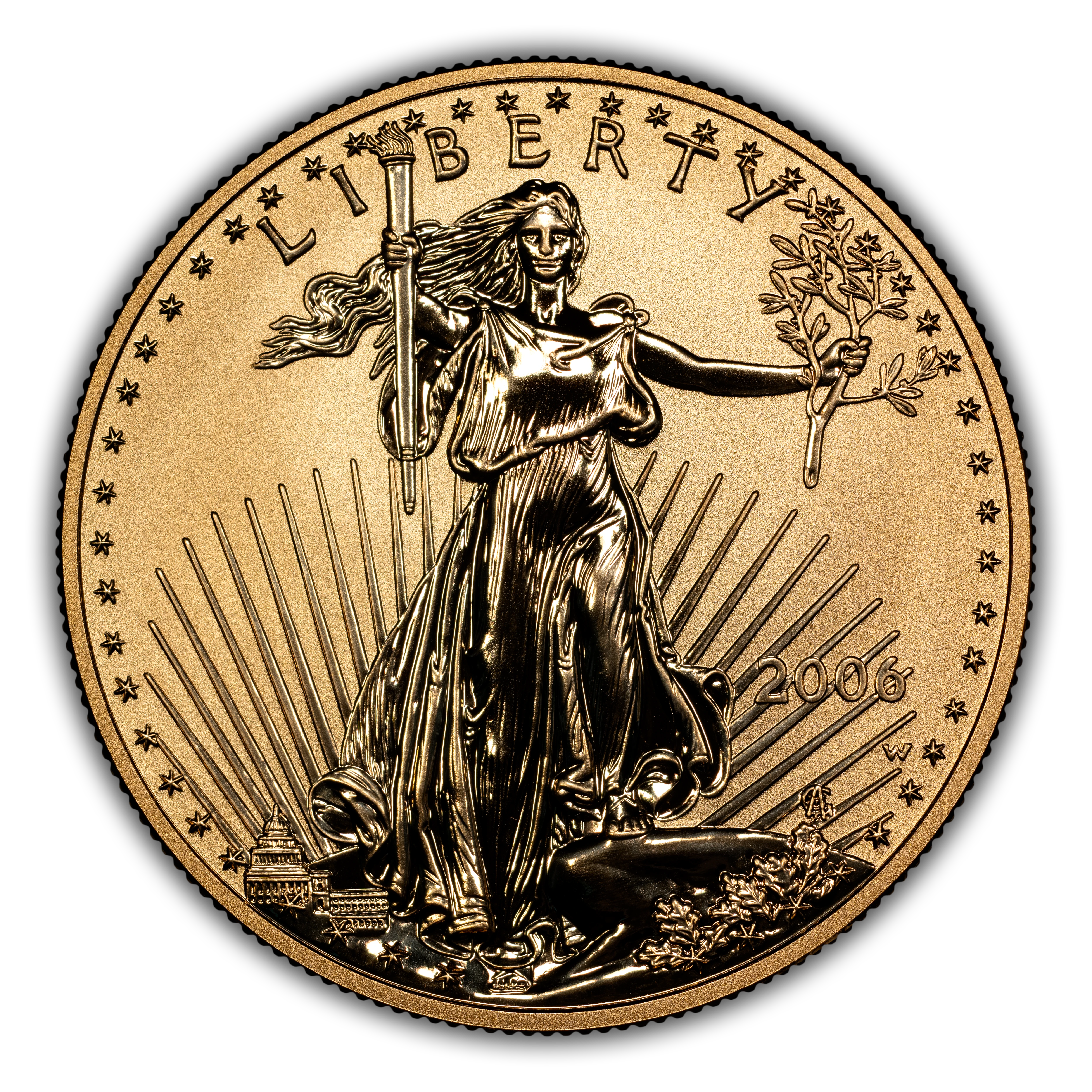 2006-W G$50 Gold Eagle, 20th Anniversary, Reverse Proof PR