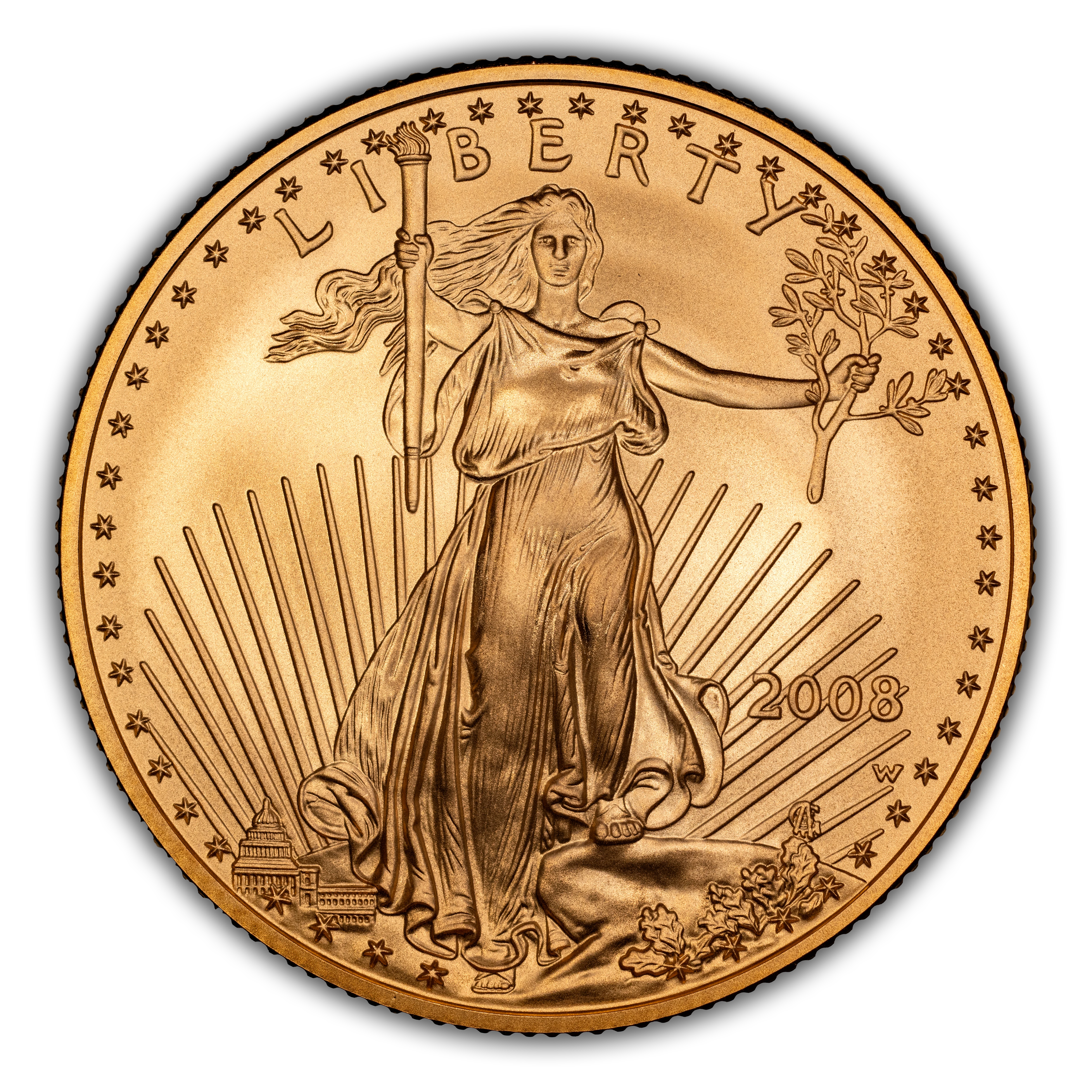 2008-W $25 Gold Eagle, Burnished MS