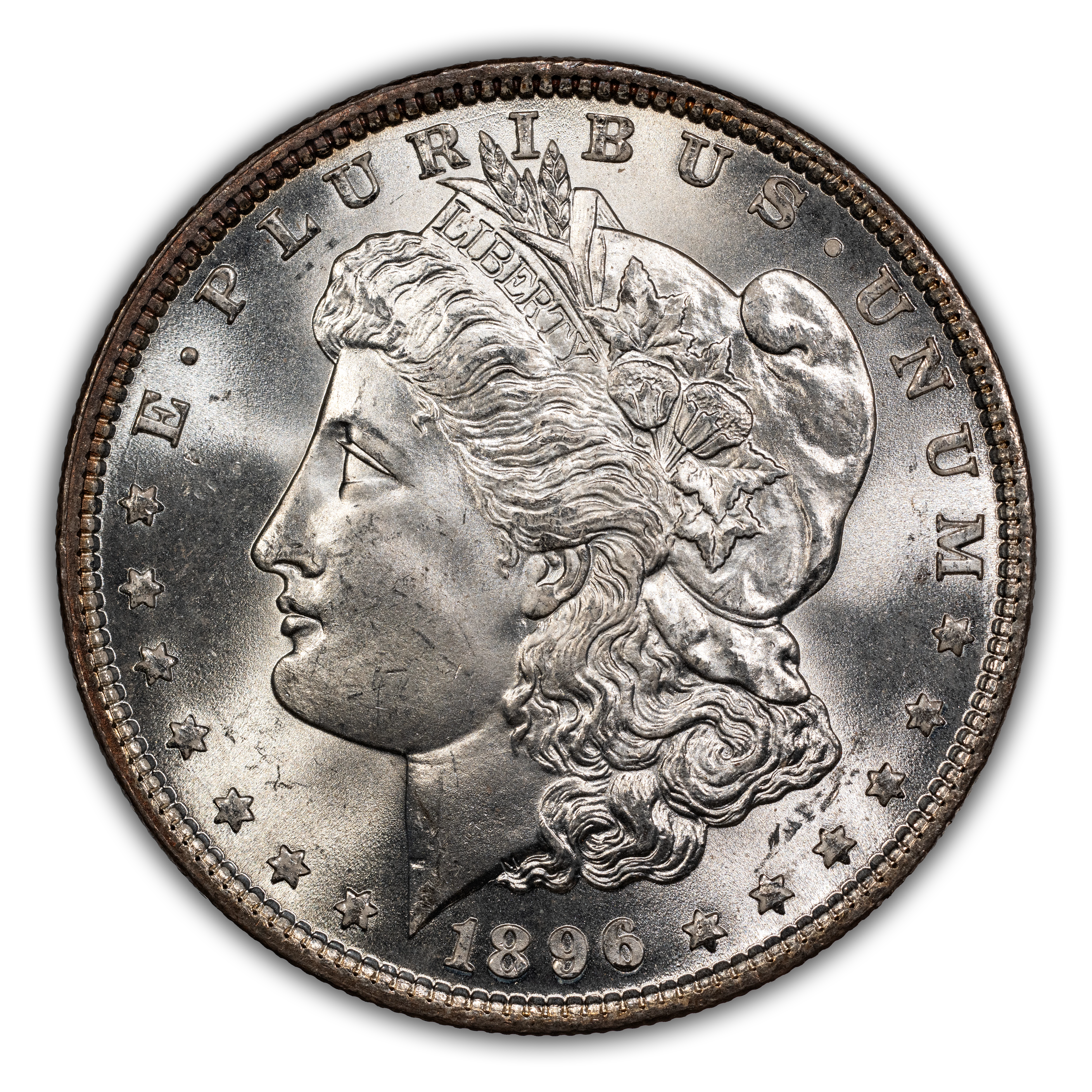 1896 $1 MS